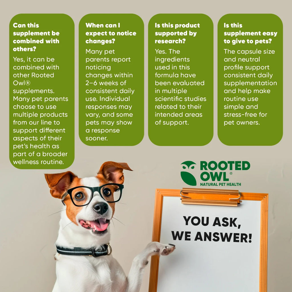 Spirulina & Chlorella Supplement for Dogs