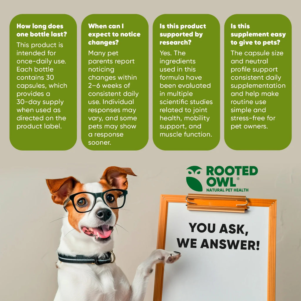 Joint & Muscle Health Supplement for Medium & Large Dogs