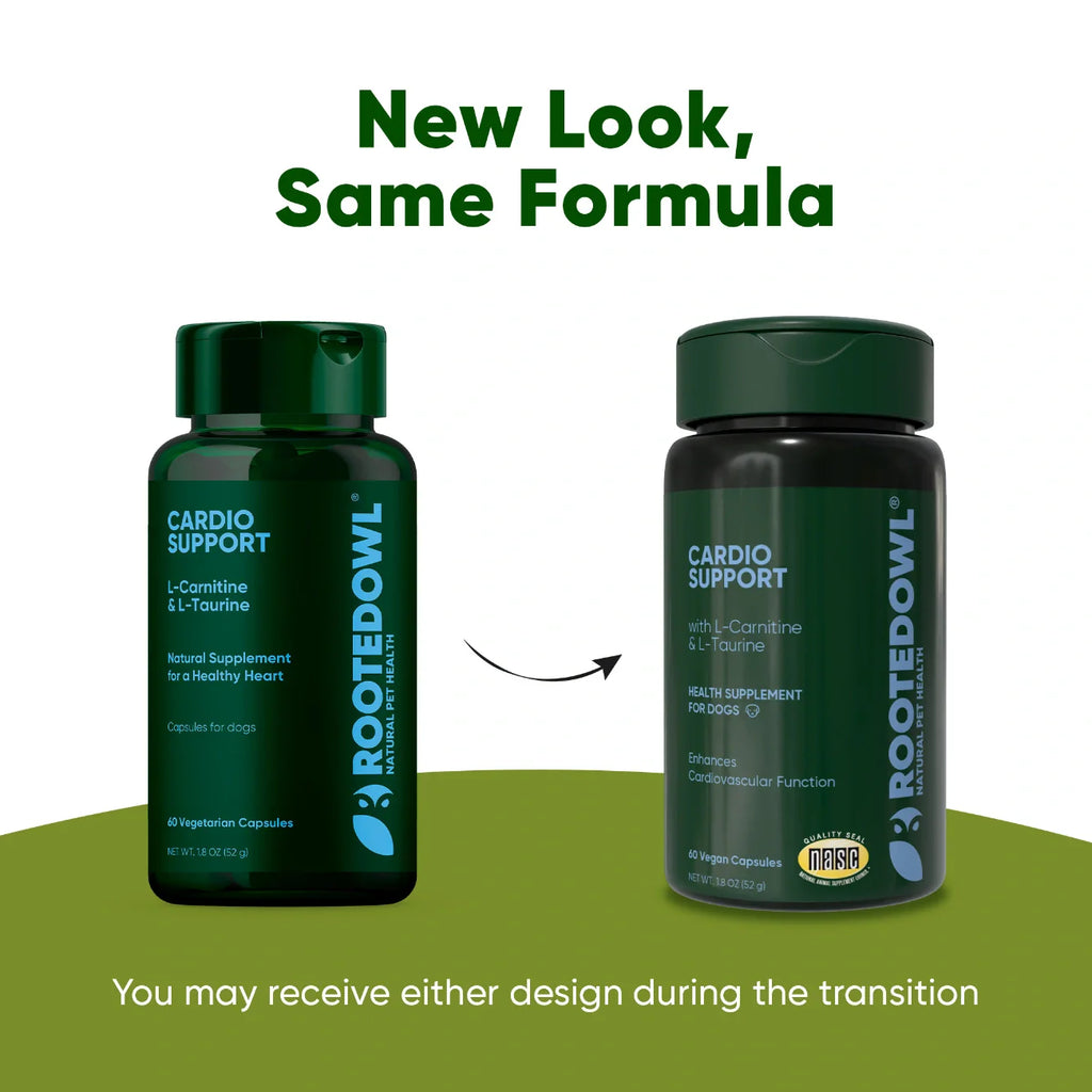 Cardio Support Supplement for Dogs