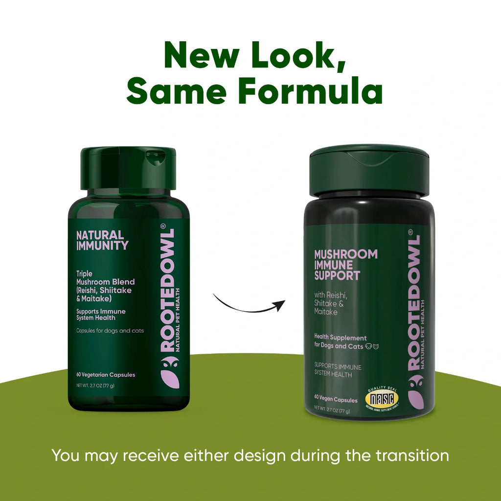Mushroom Immune Support Supplement for Dogs