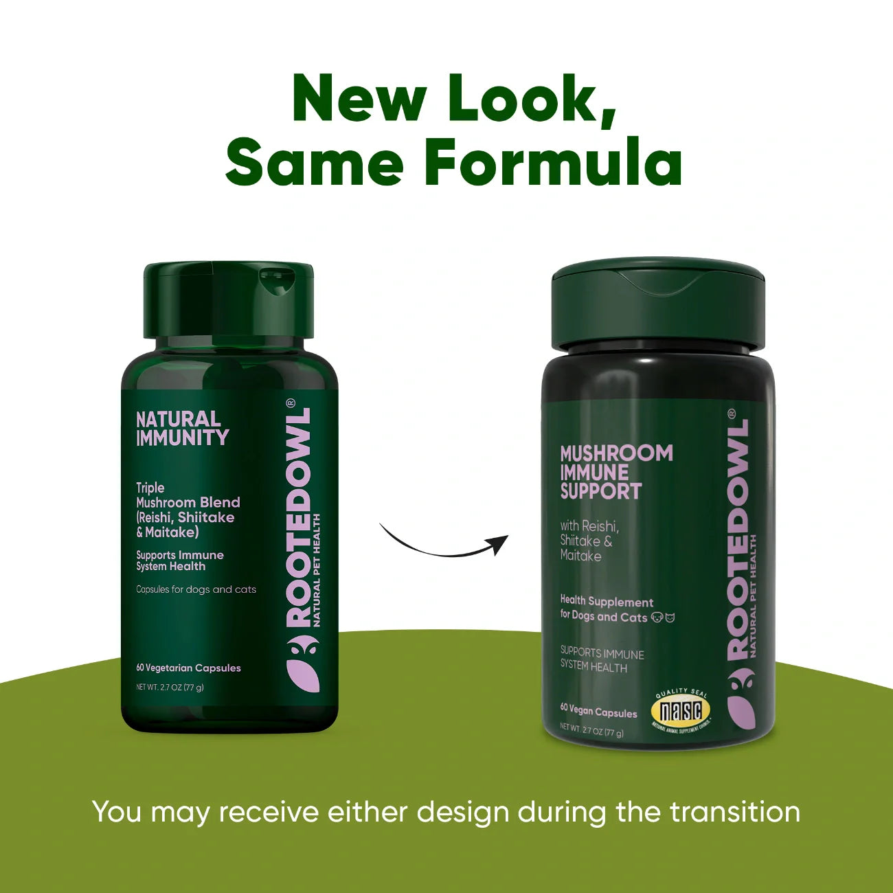 Mushroom Immune Support Supplement for Dogs
