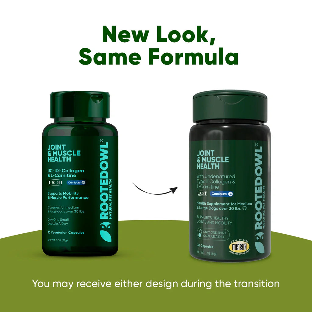 Joint & Muscle Health Supplement for Medium & Large Dogs