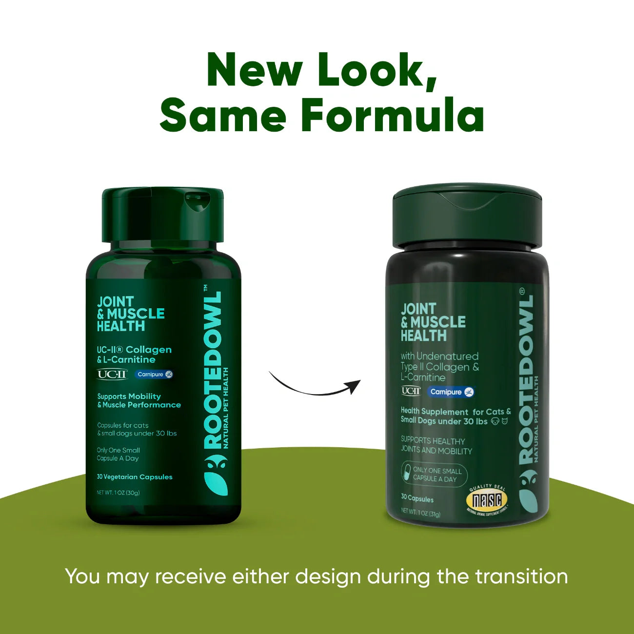 Joint & Muscle Health Supplement for Dogs