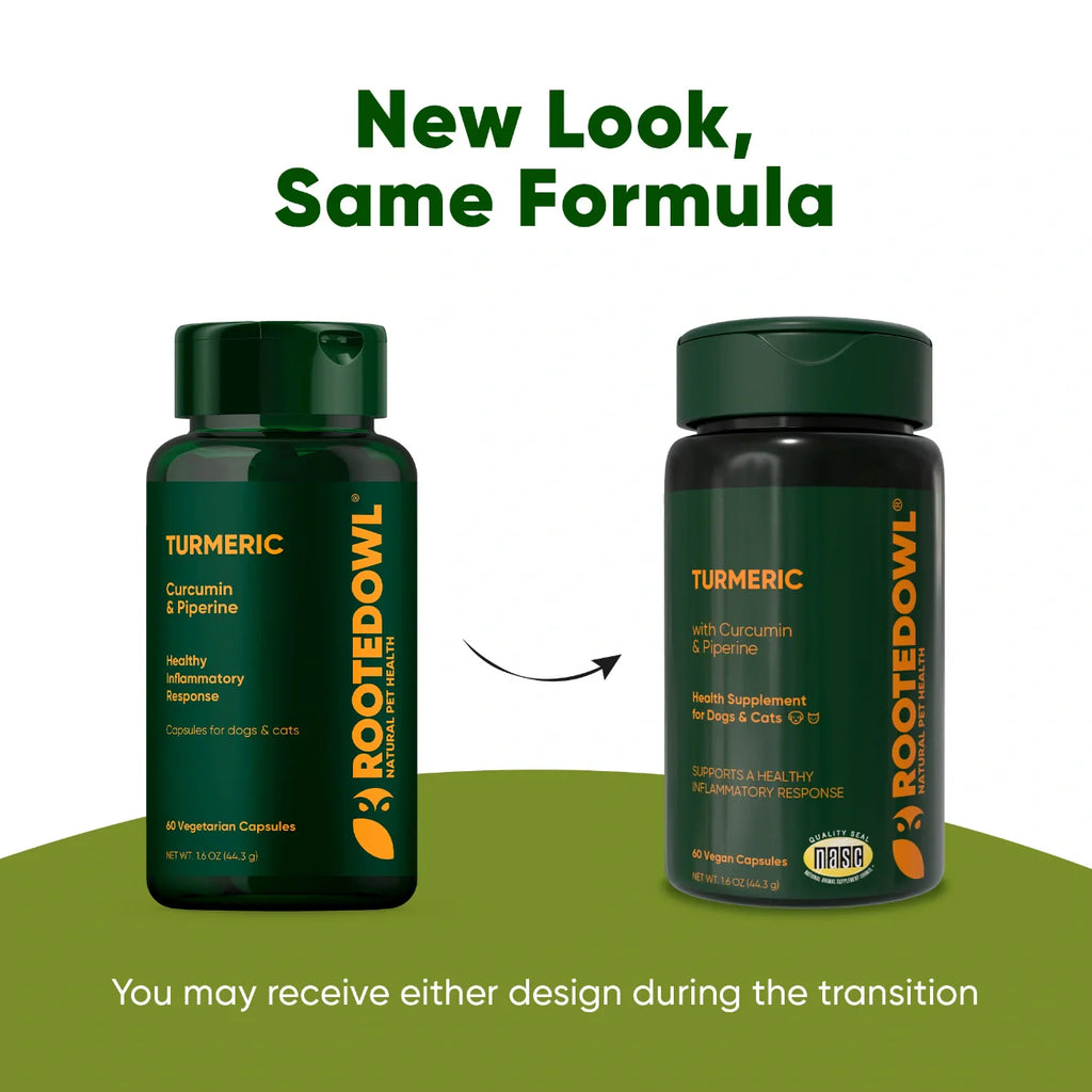 Turmeric Supplement for Dogs