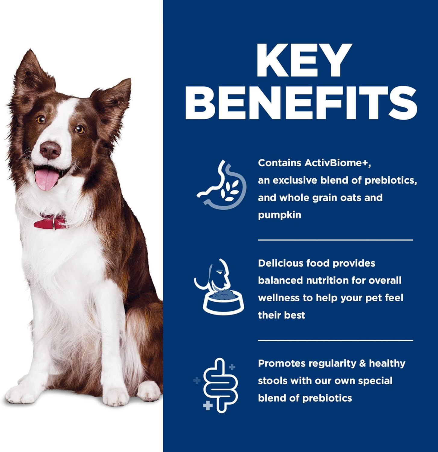 Hill's Science Diet Perfect Digestion Dog Food