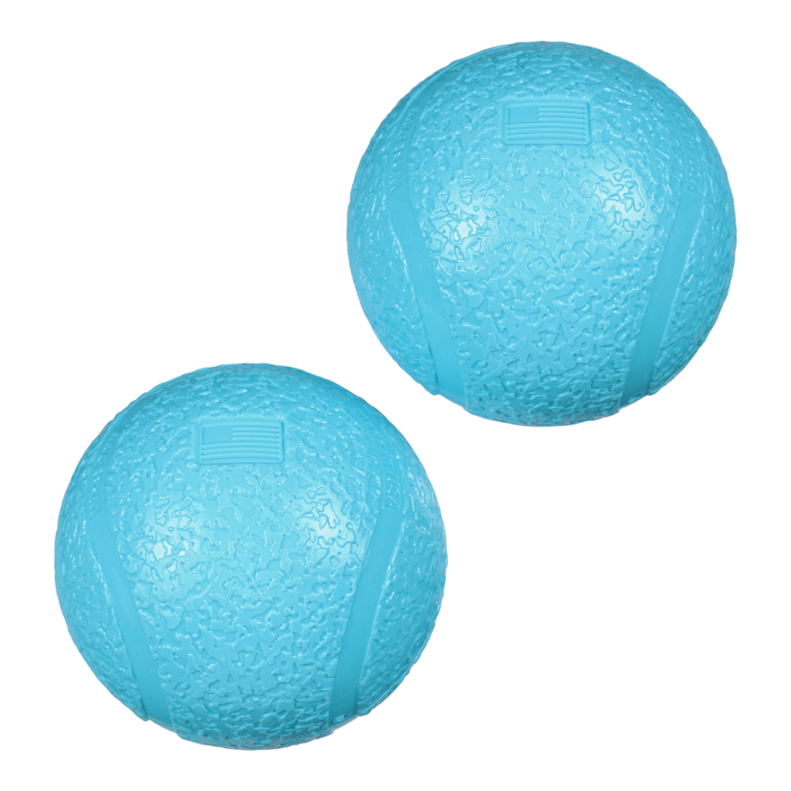 Boundr Fetch Ball Dog Toy - Small 2-Pack Aqua