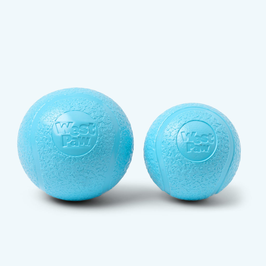 Boundr Fetch Ball Dog Toy