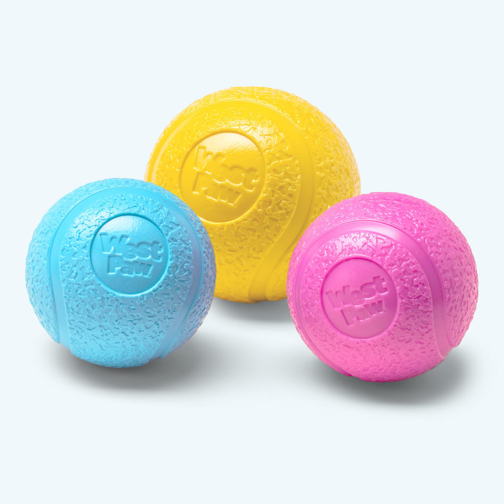 Boundr Fetch Ball Dog Toy