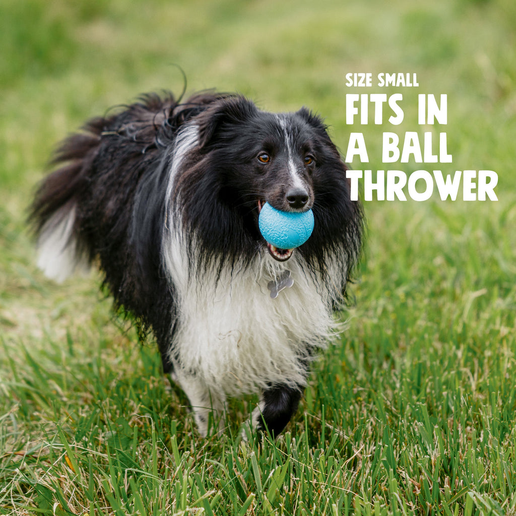 Boundr Fetch Ball Dog Toy