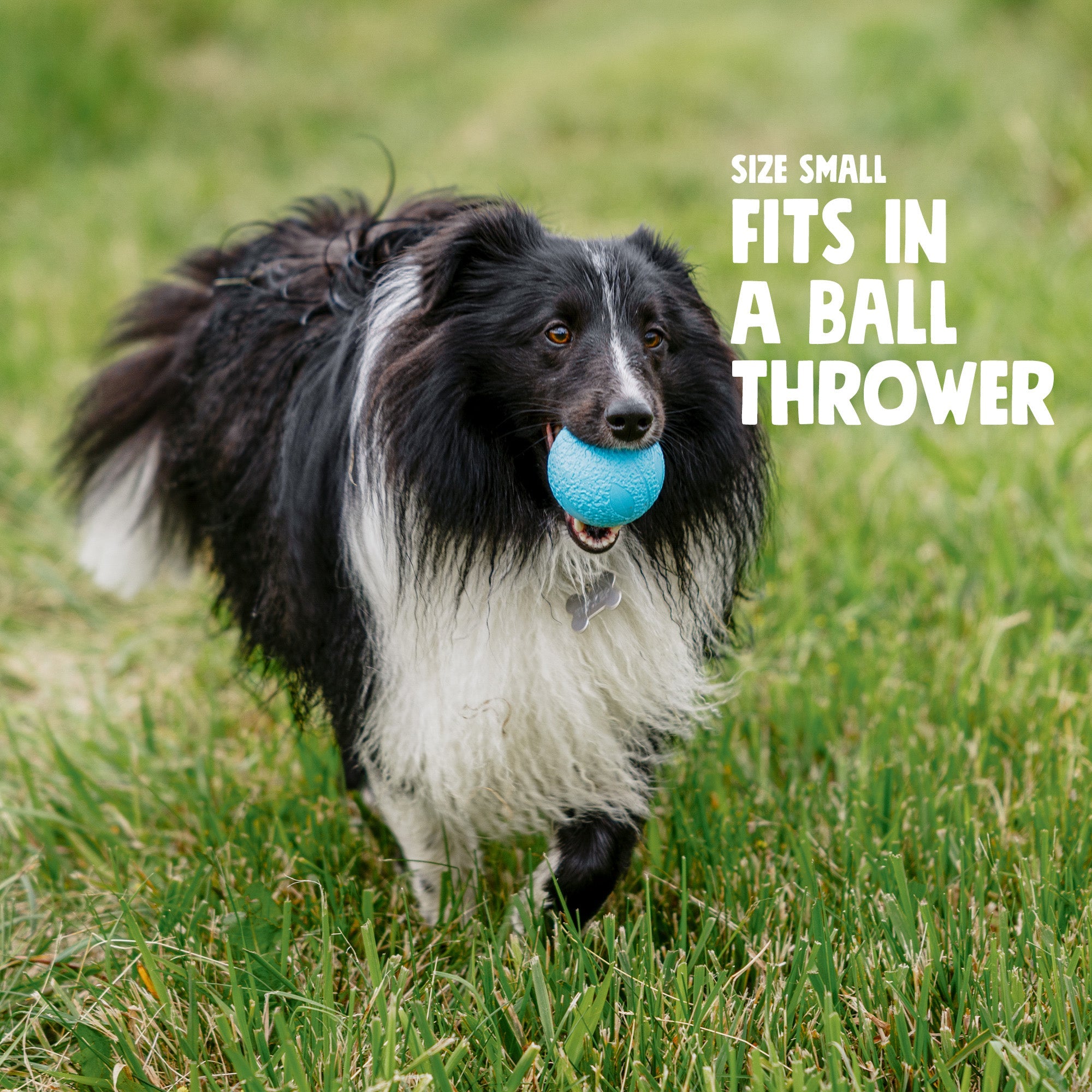 Boundr Fetch Ball Dog Toy