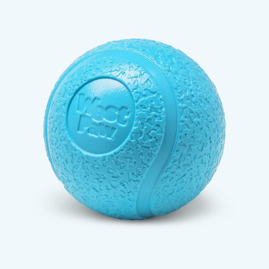 Boundr Fetch Ball Dog Toy - Small 2-Pack Aqua