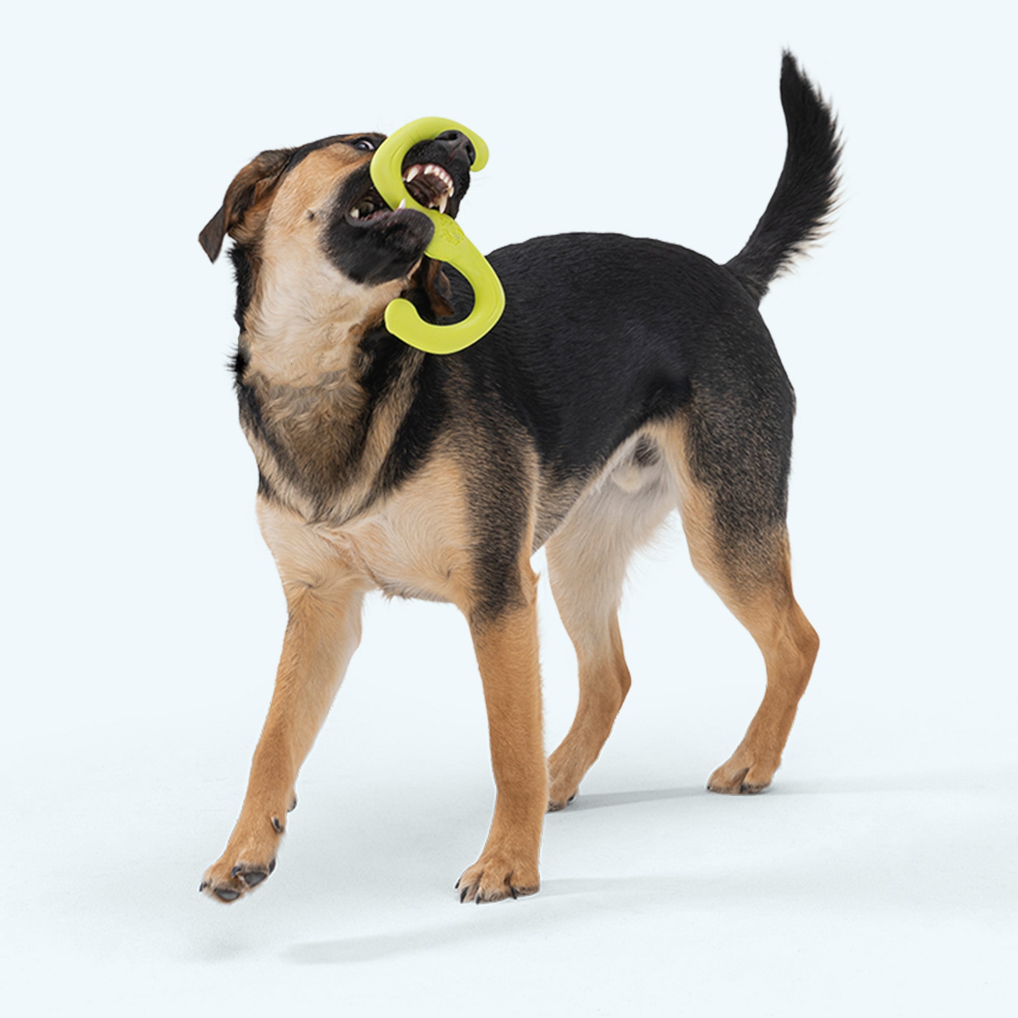 Bumi Tug Dog Toy - Ruby