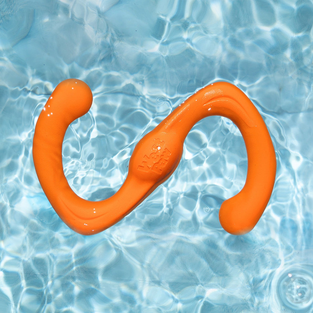 Bumi Tug Dog Toy