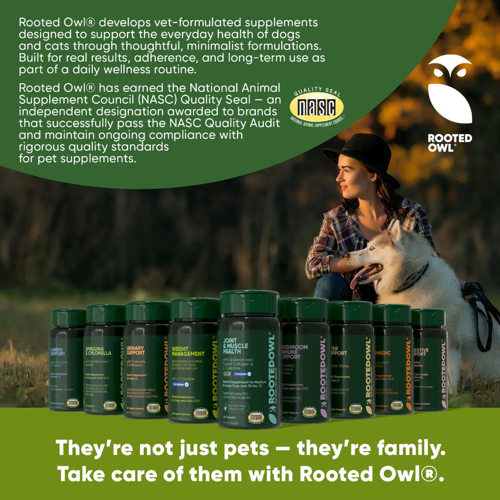Mushroom Immune Support Supplement for Dogs