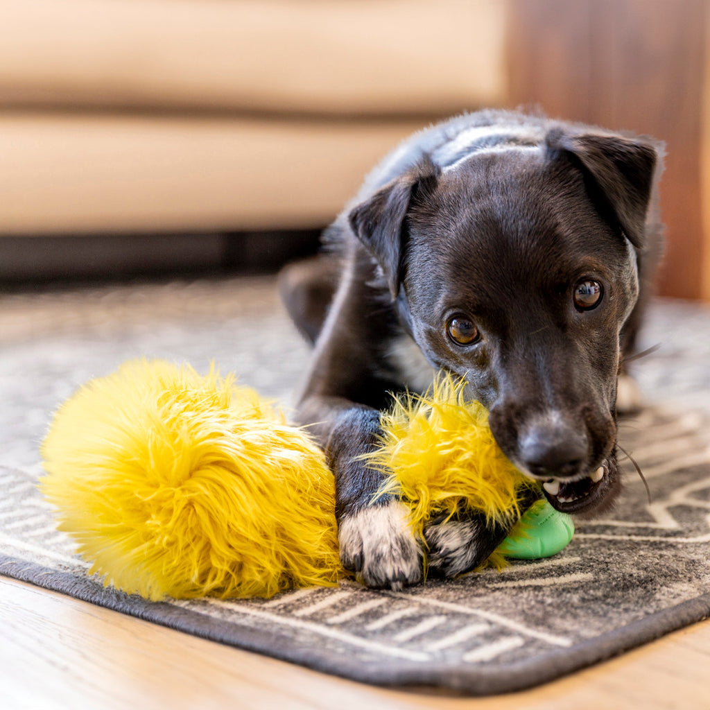 Astrid Plush Dog Toy