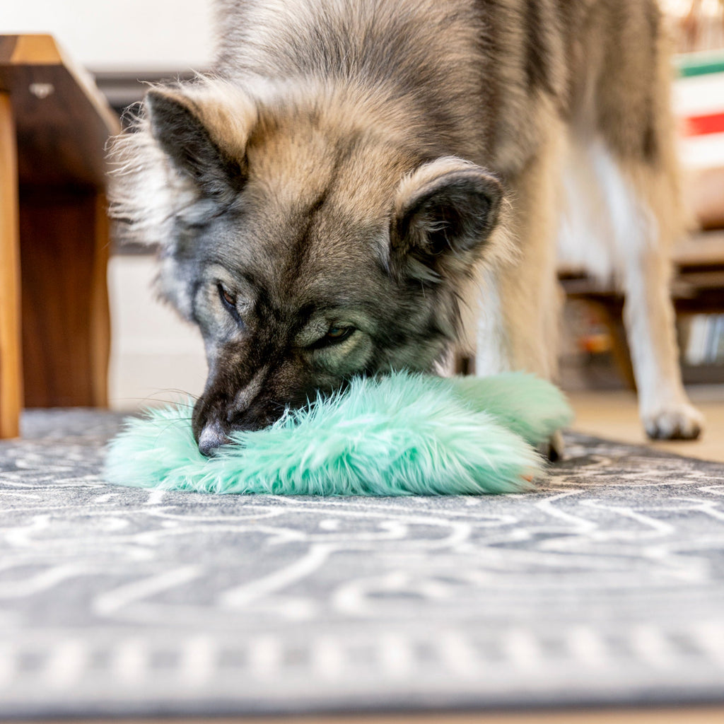 Bjorn Tug Dog Toy