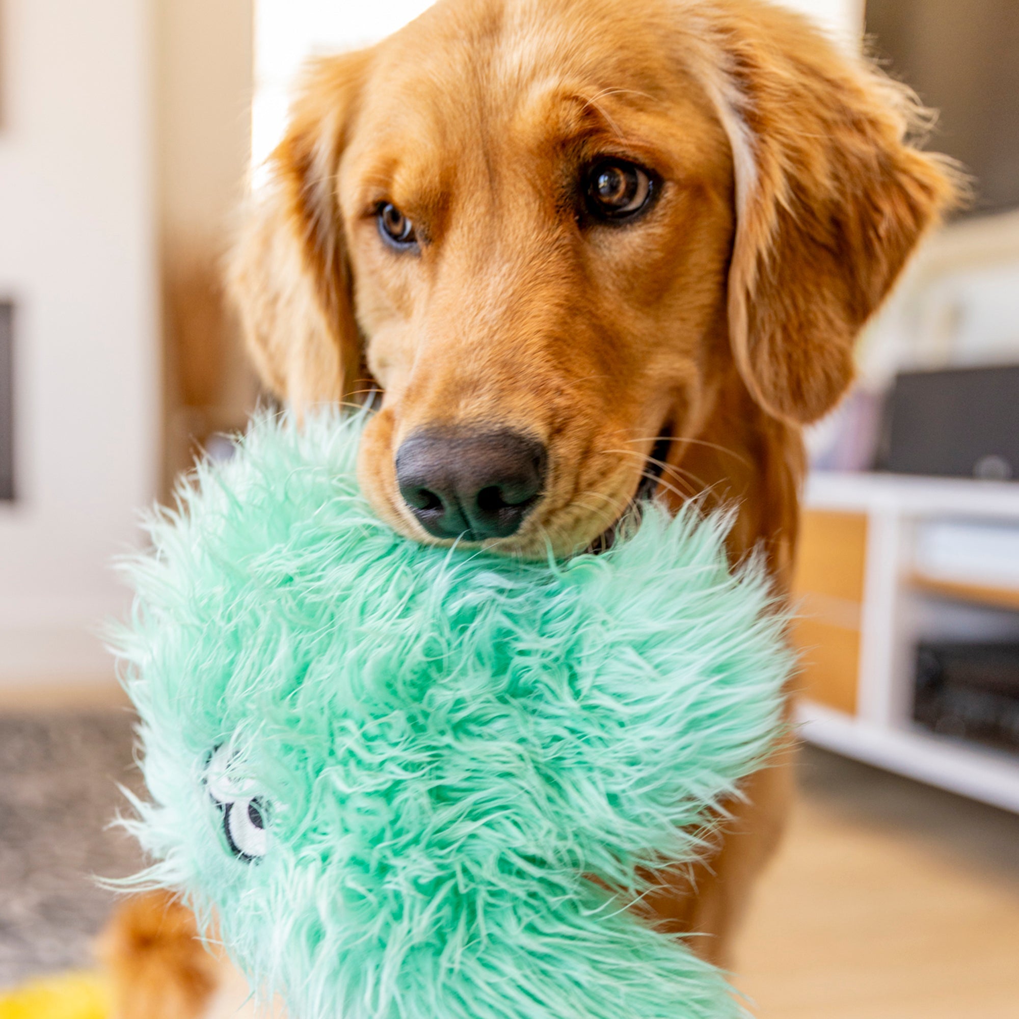 Helga Plush Dog Toy