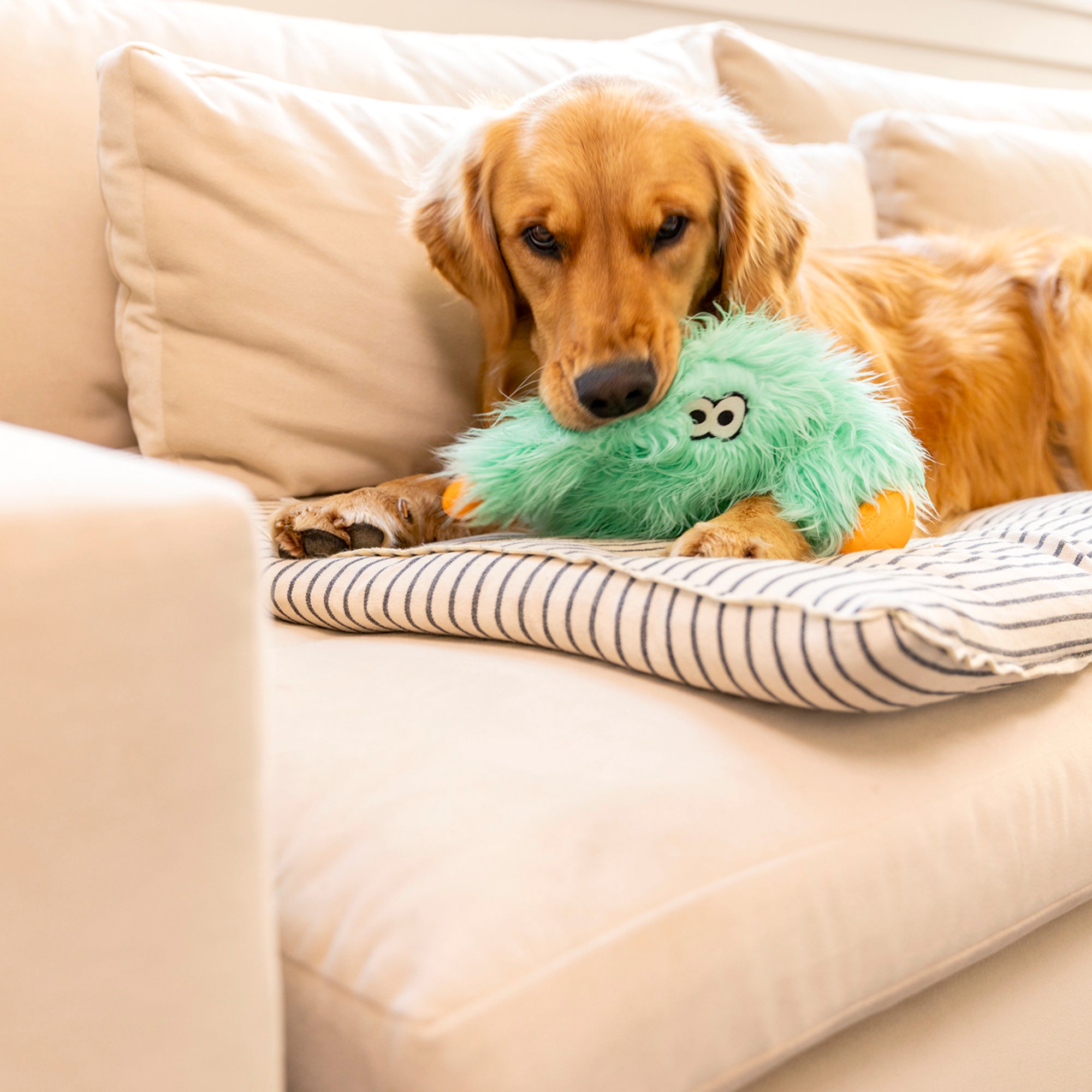Bjorn Tug Dog Toy
