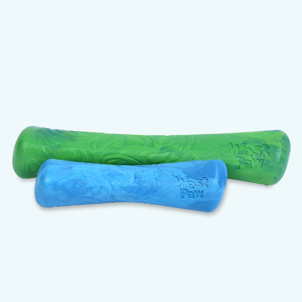 Drifty Fetch Dog Toy