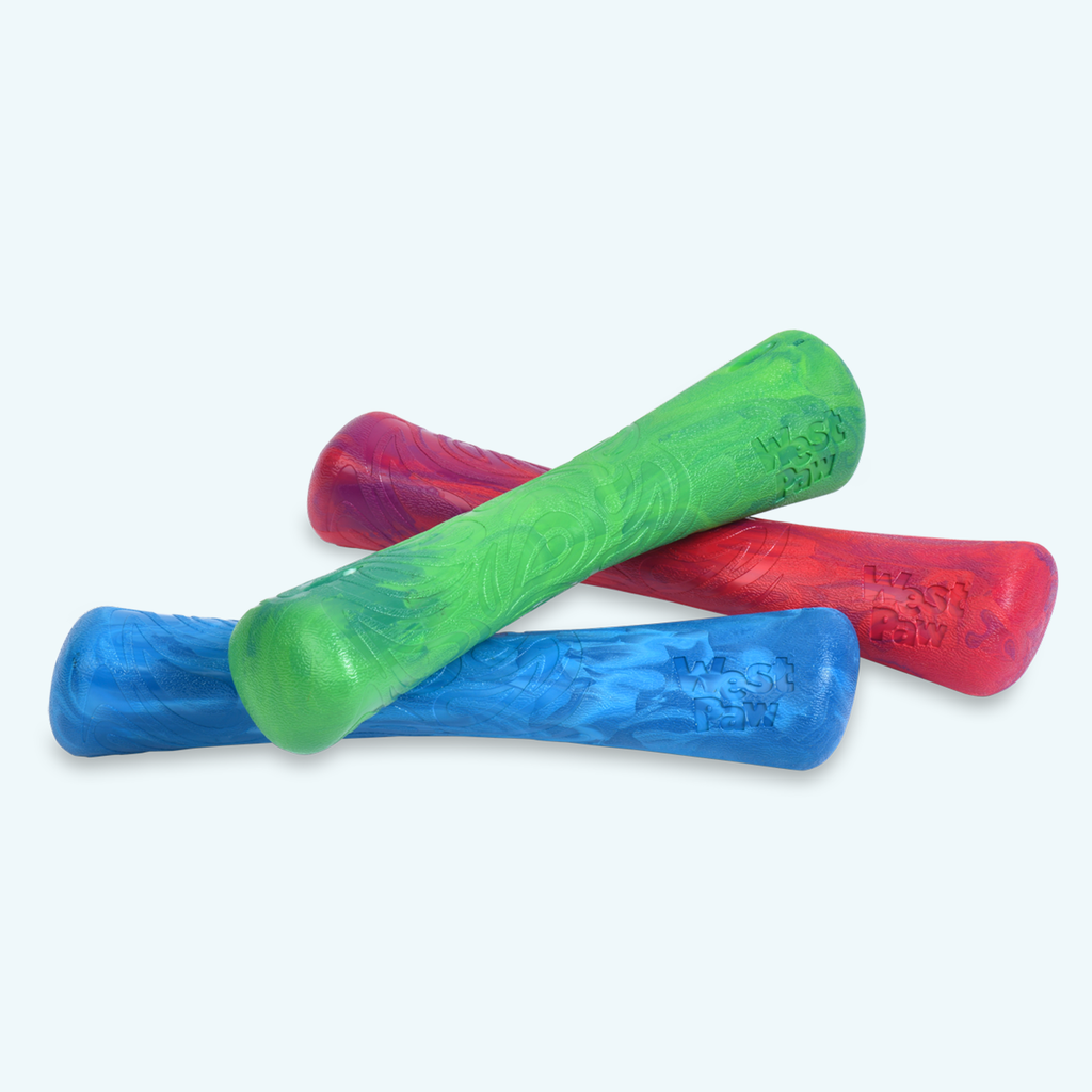 Drifty Fetch Dog Toy