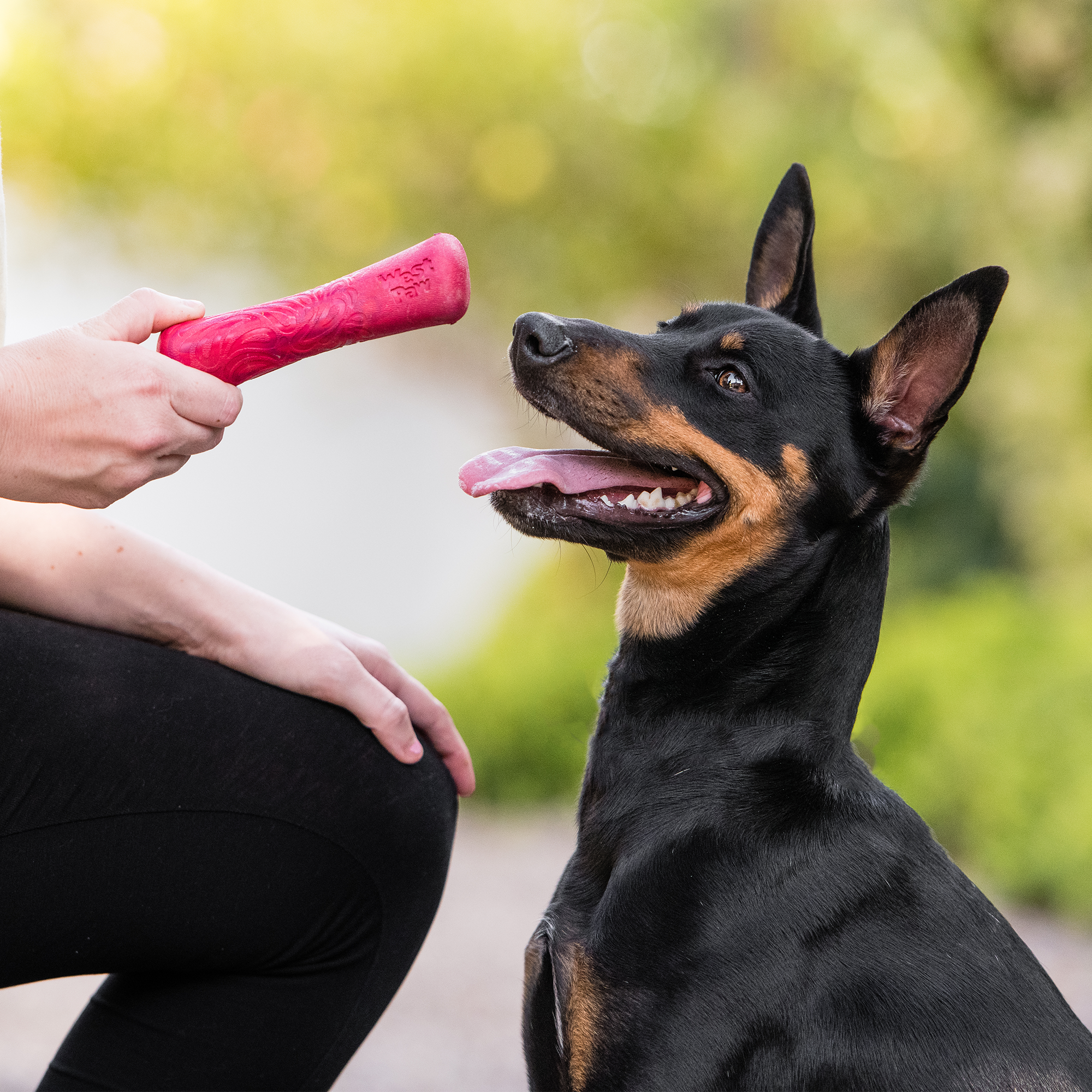 Drifty Fetch Dog Toy