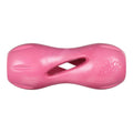 Qwizl Treat Dispensing Dog Toy - Geranium