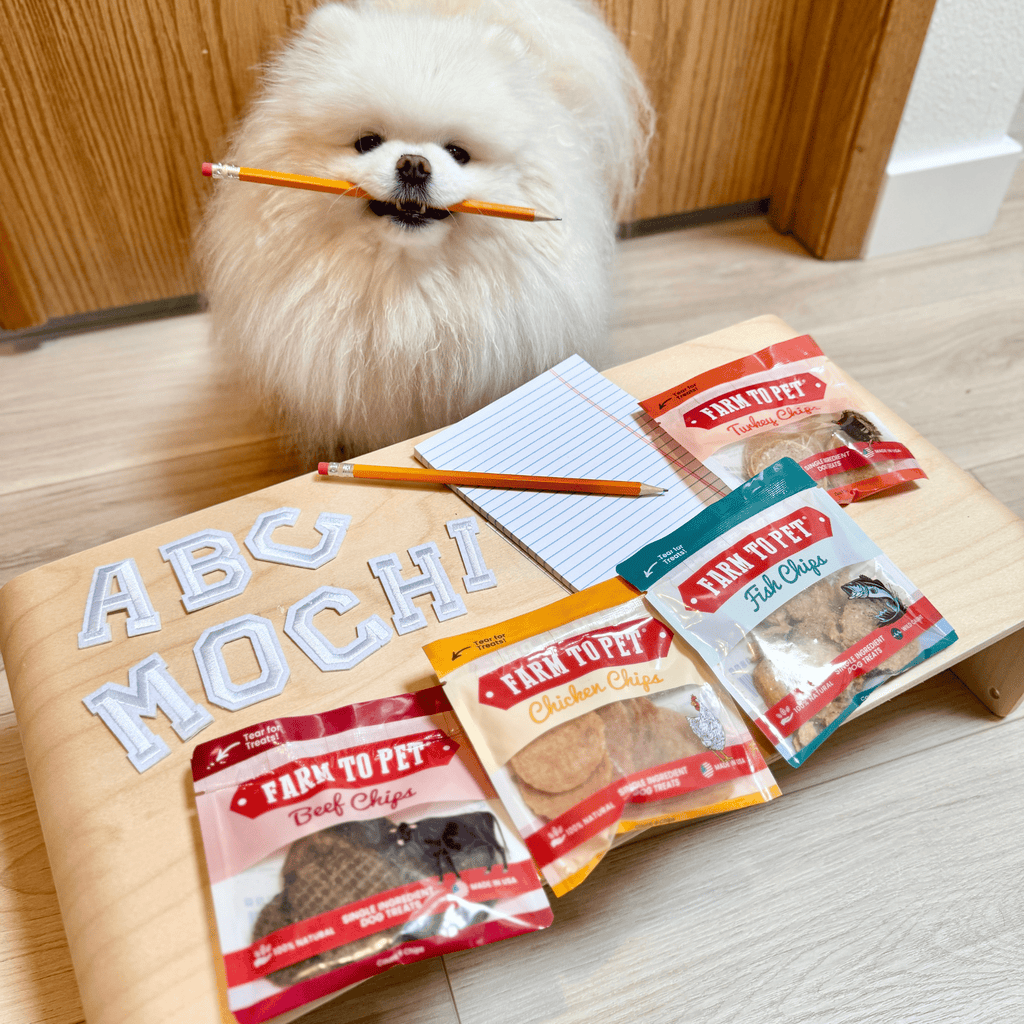 Dog Treat Sampler Snack Pack