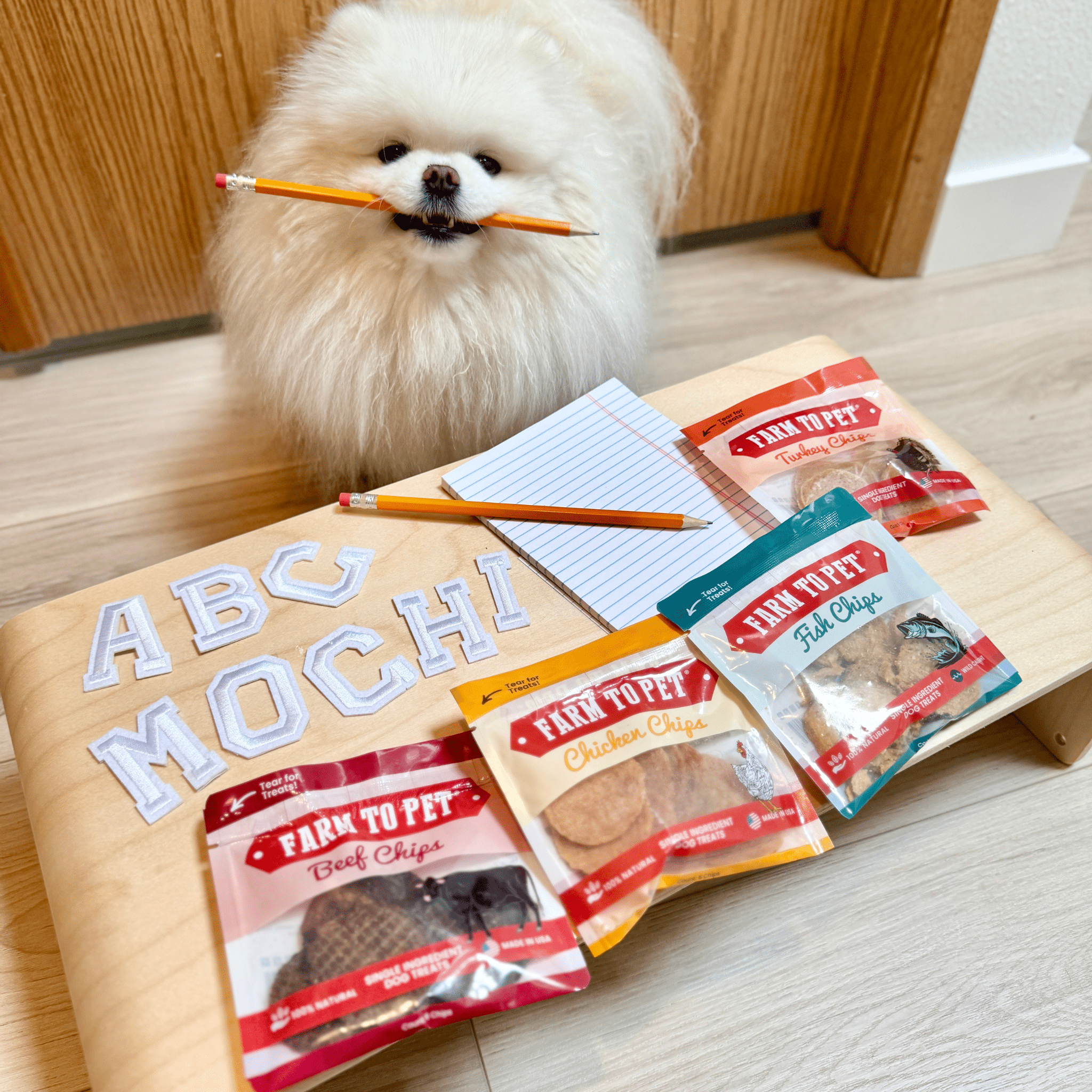 Dog Treat Sampler Snack Pack