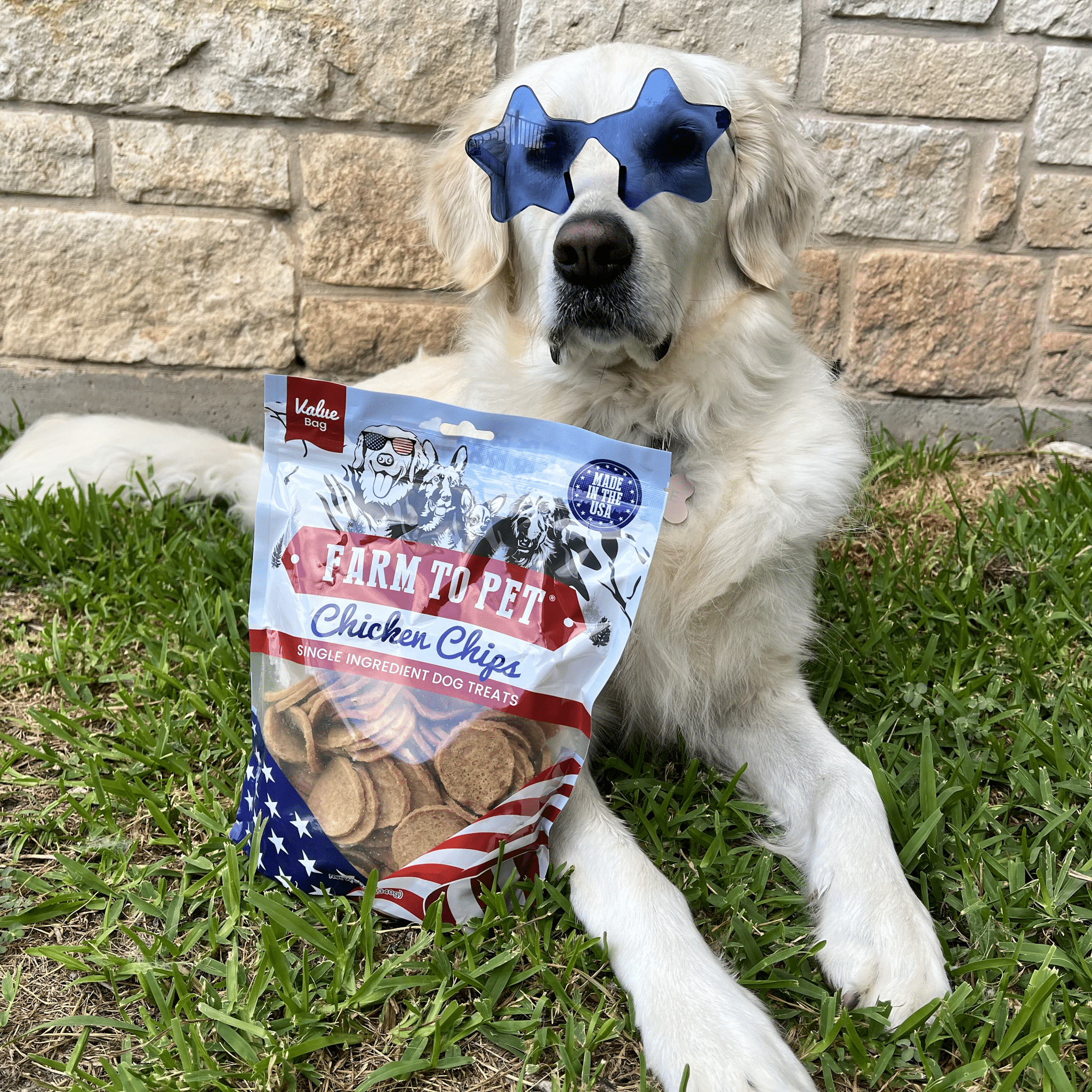 Americana Chicken Chips