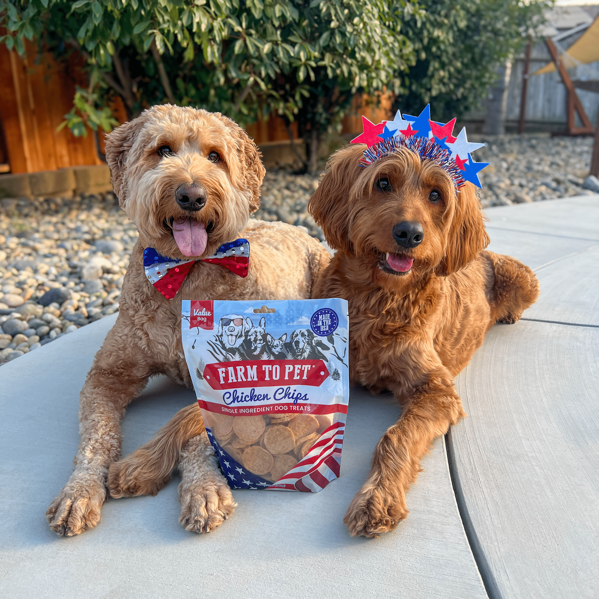 Americana Chicken Chips