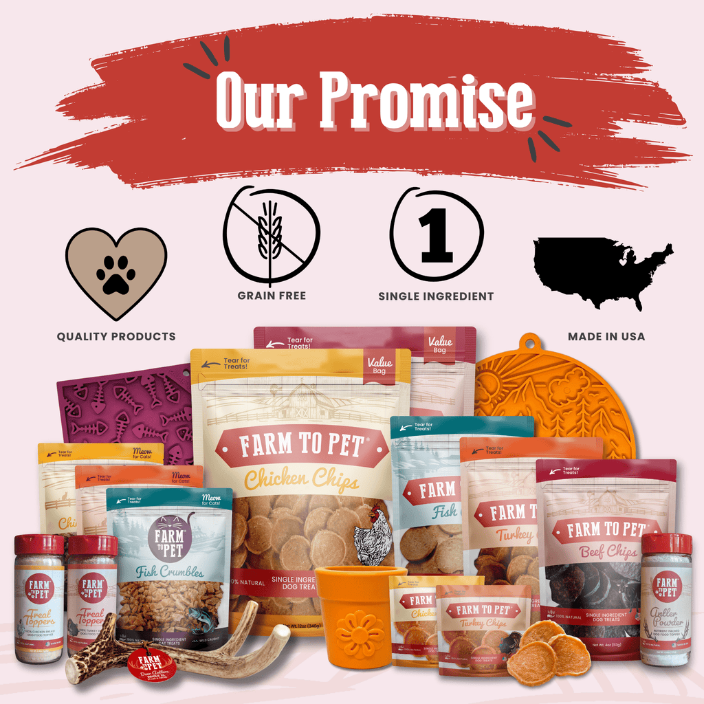 Beef Chips Snack Pack