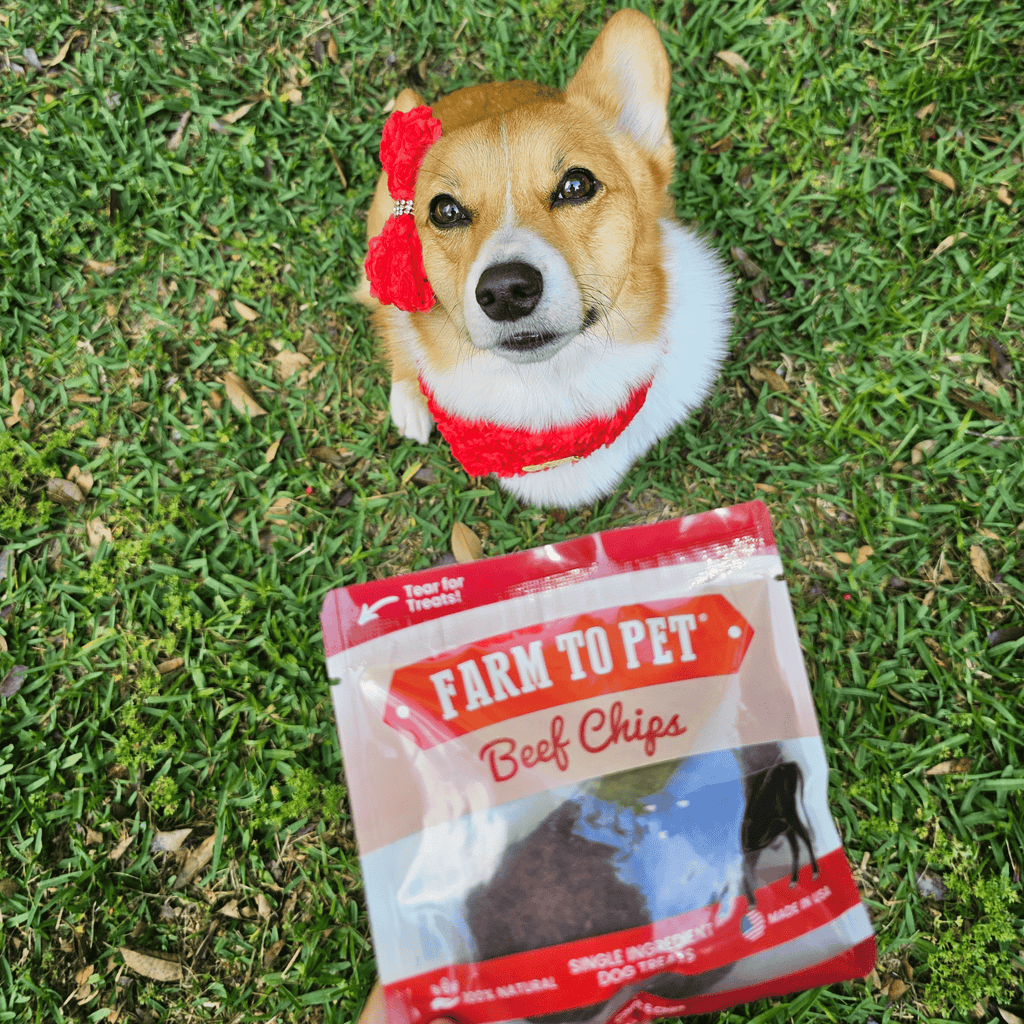 Beef Chips Snack Pack