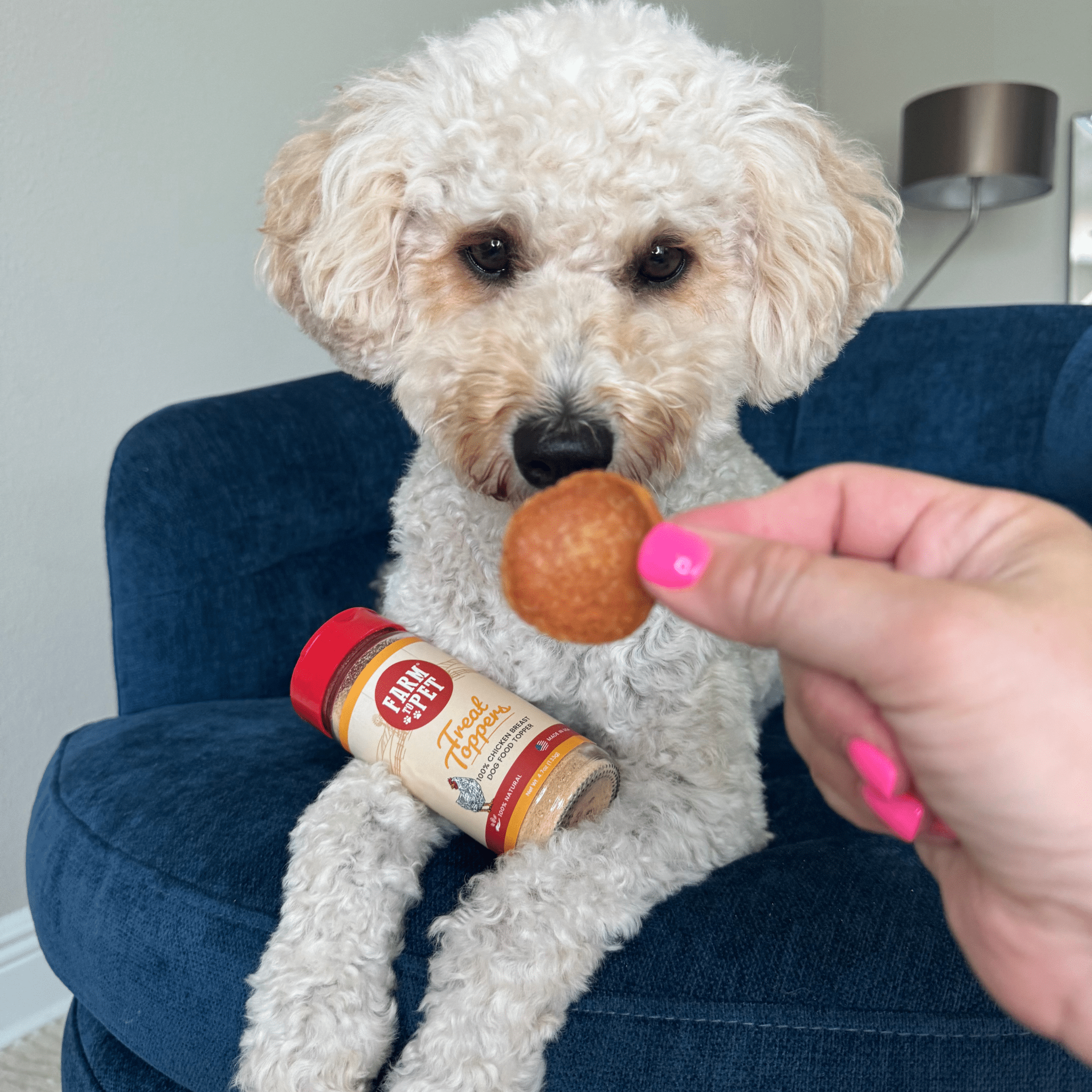 Chicken Food Topper