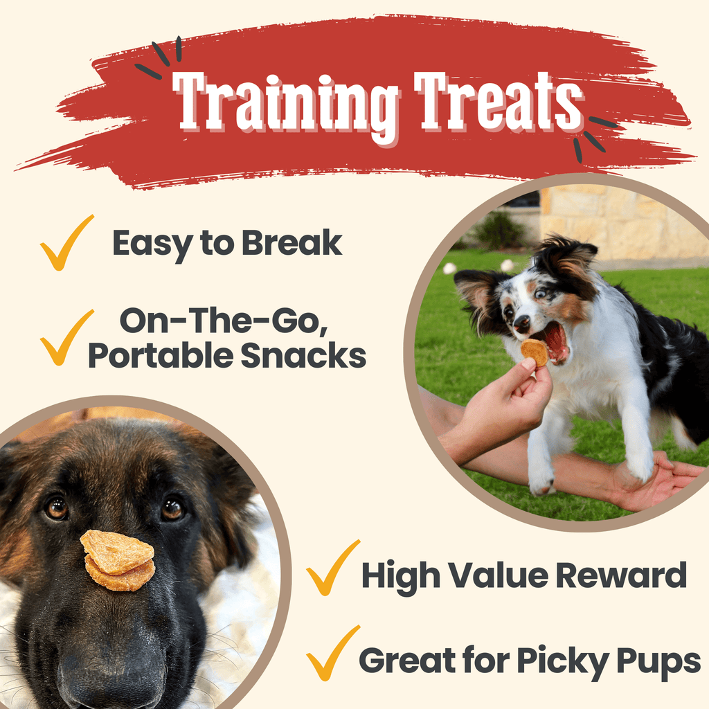 Chicken Chips Dog Treats