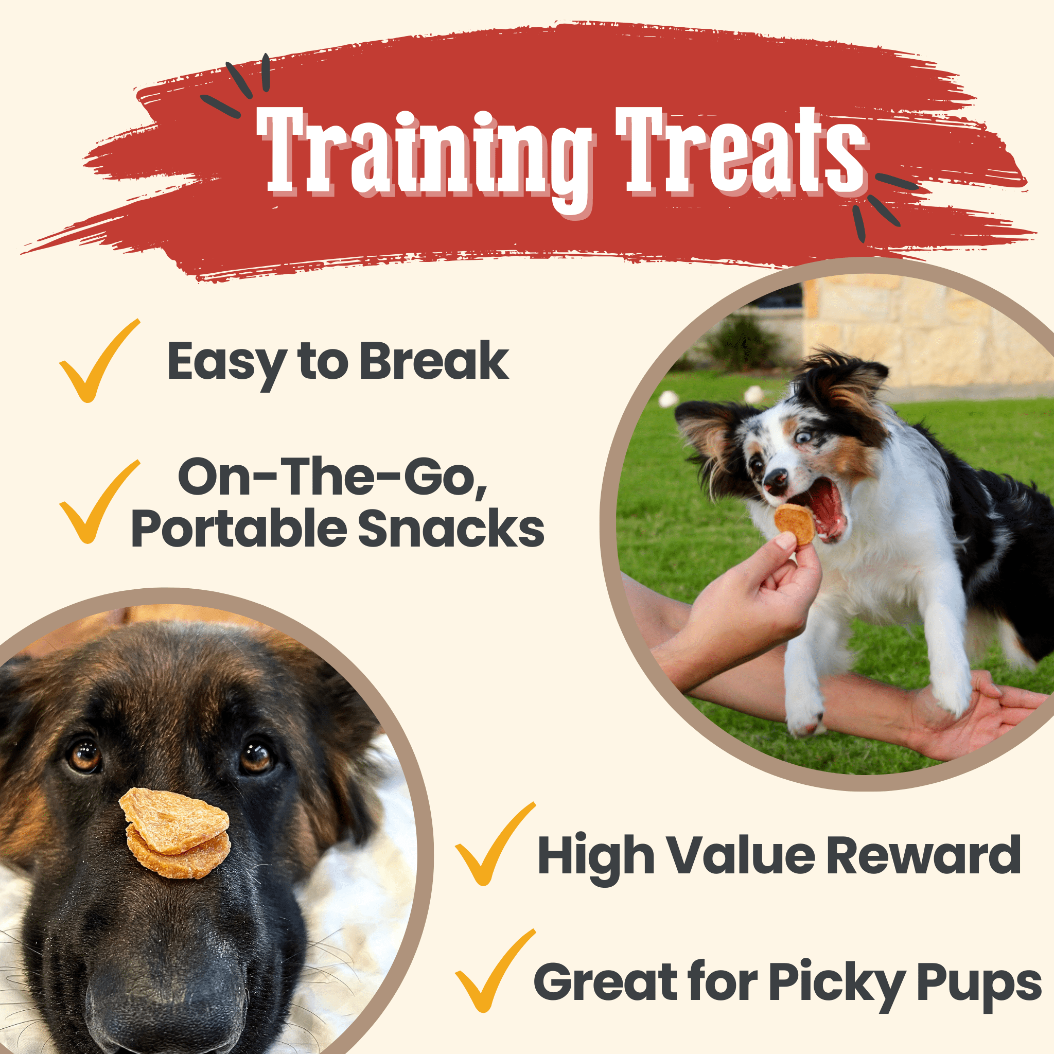 Chicken Chips Dog Treats