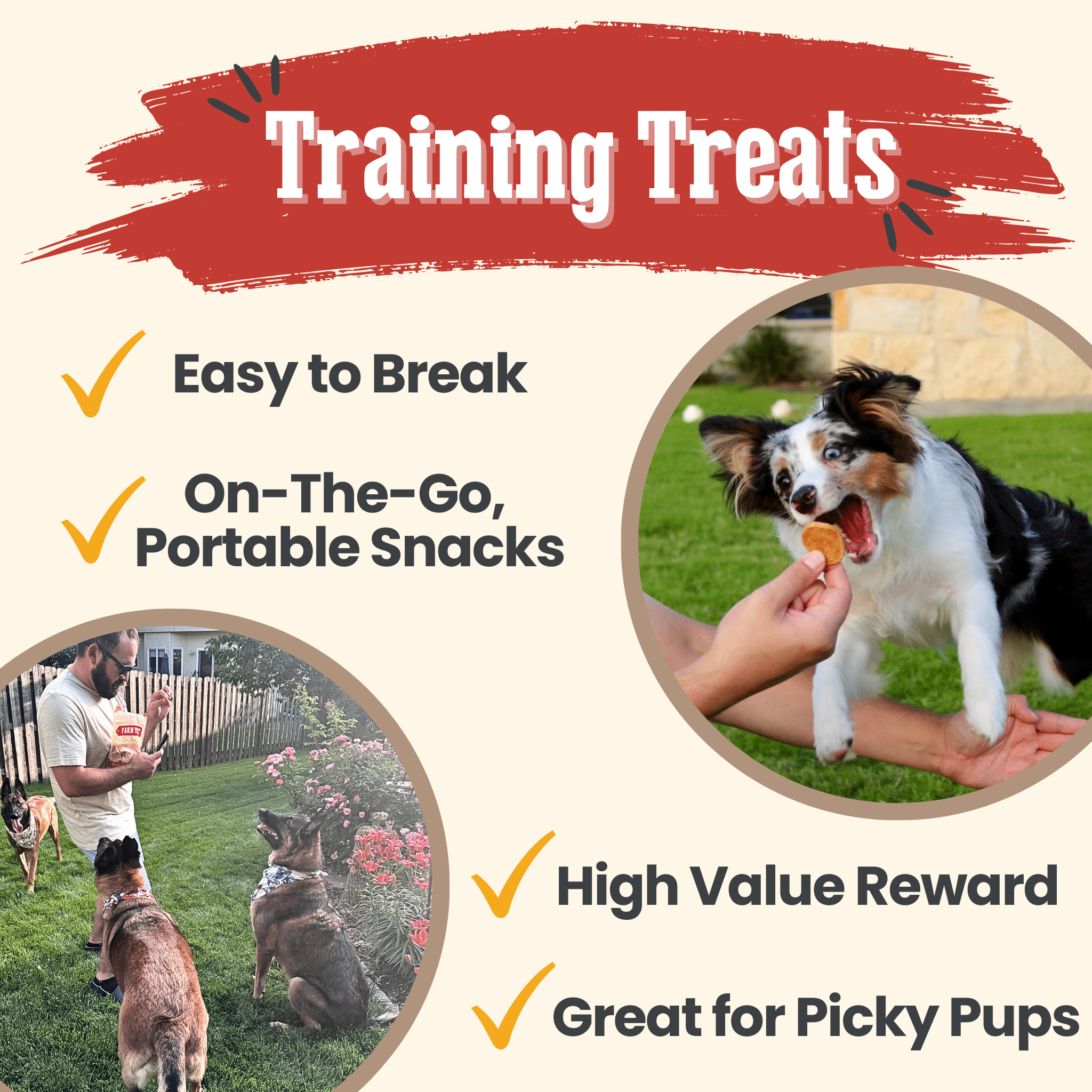 Chicken Chips Dog Treats