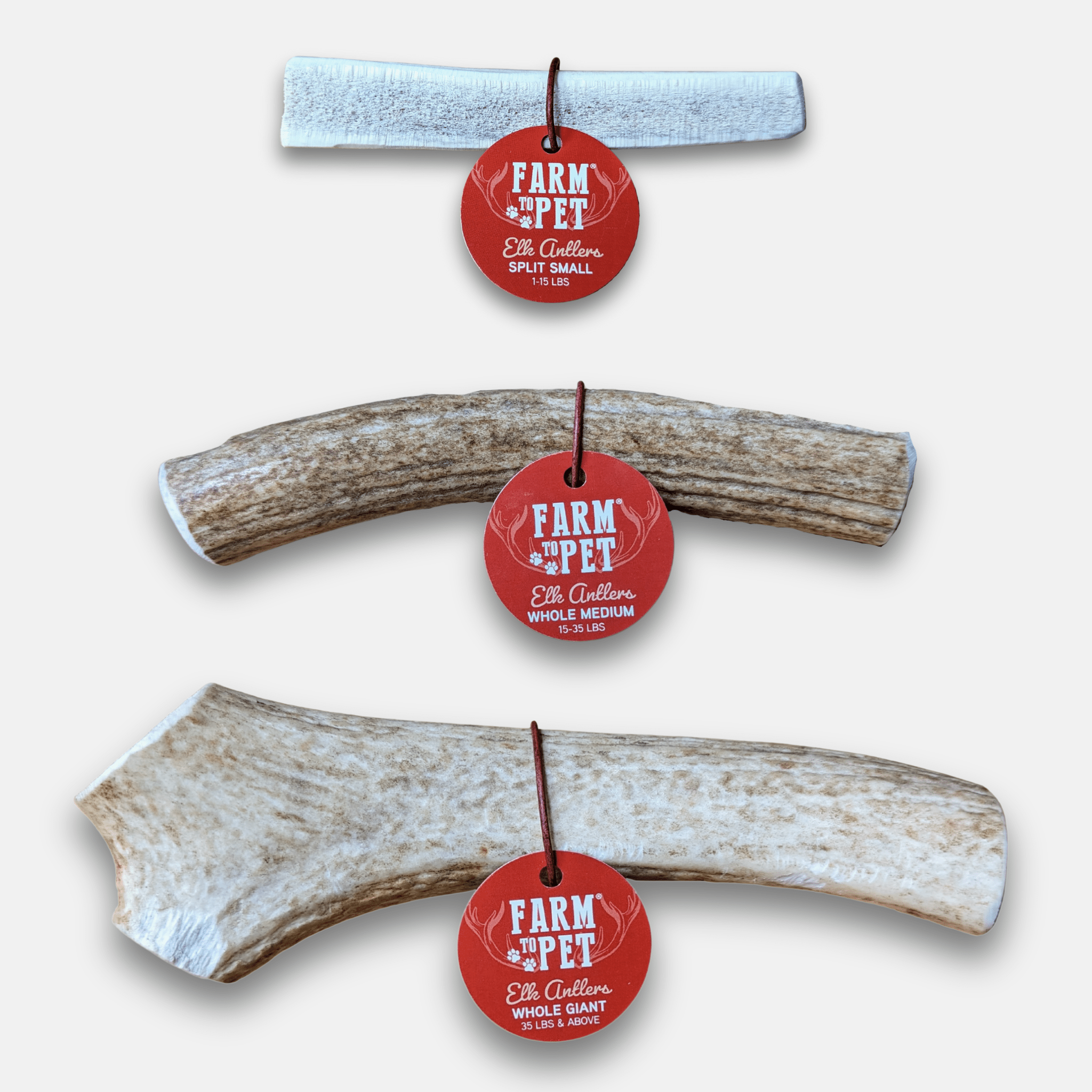 Elk Antler Dog Chews