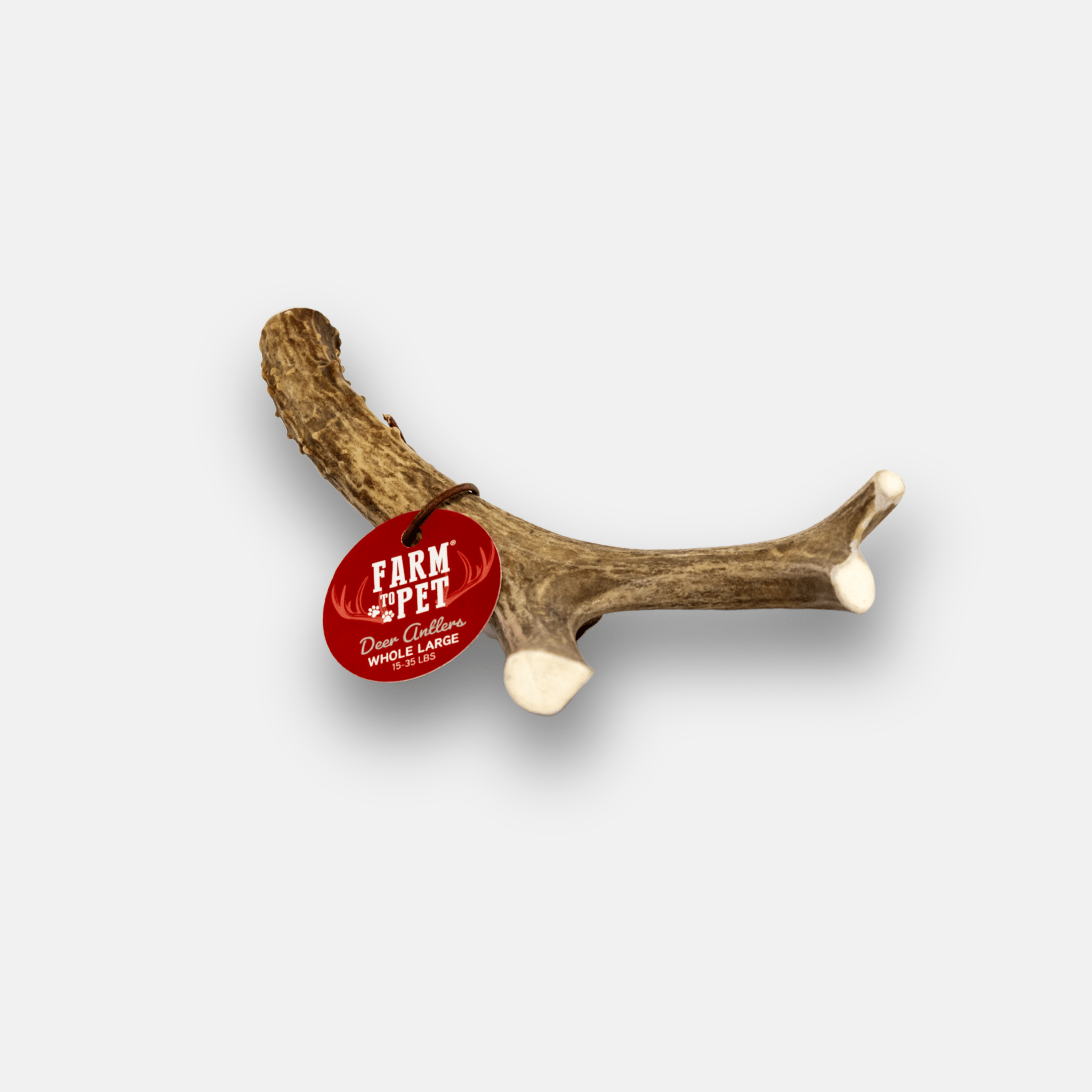 Deer Antler Dog Chews