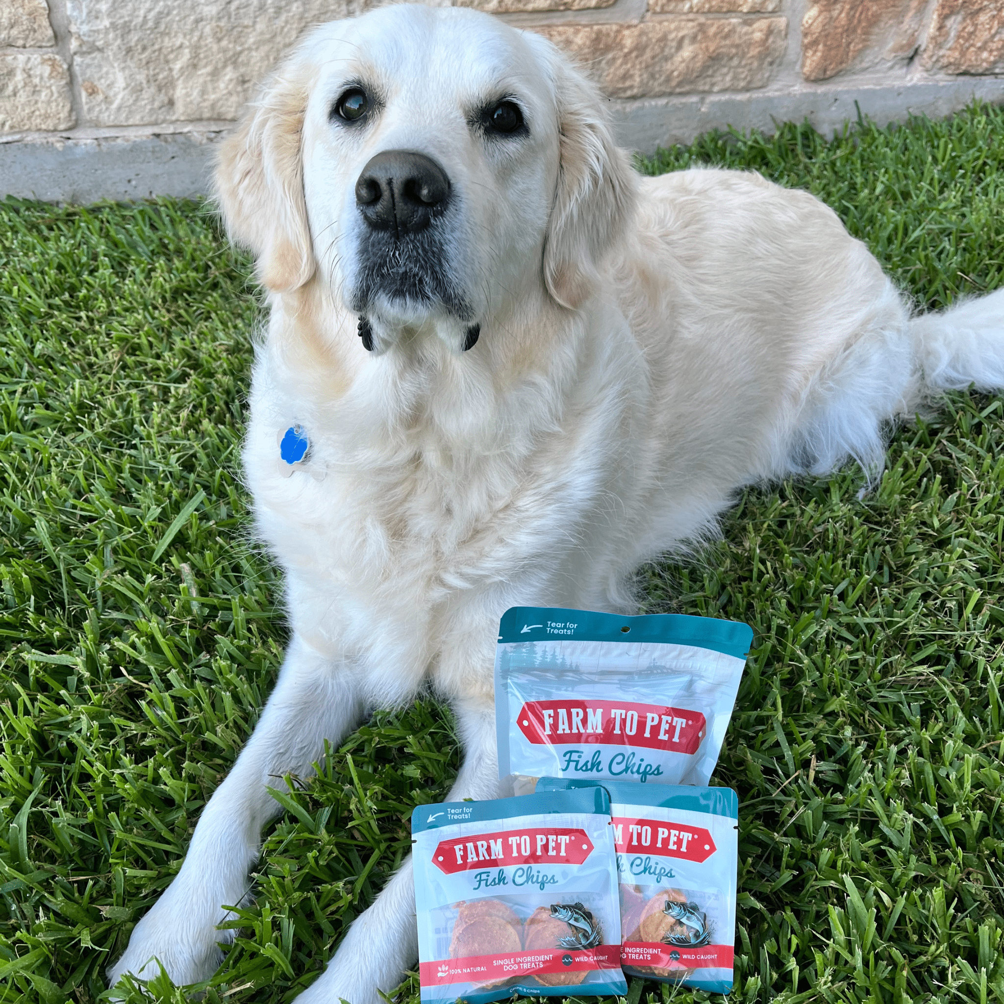 Fish Chips Snack Pack