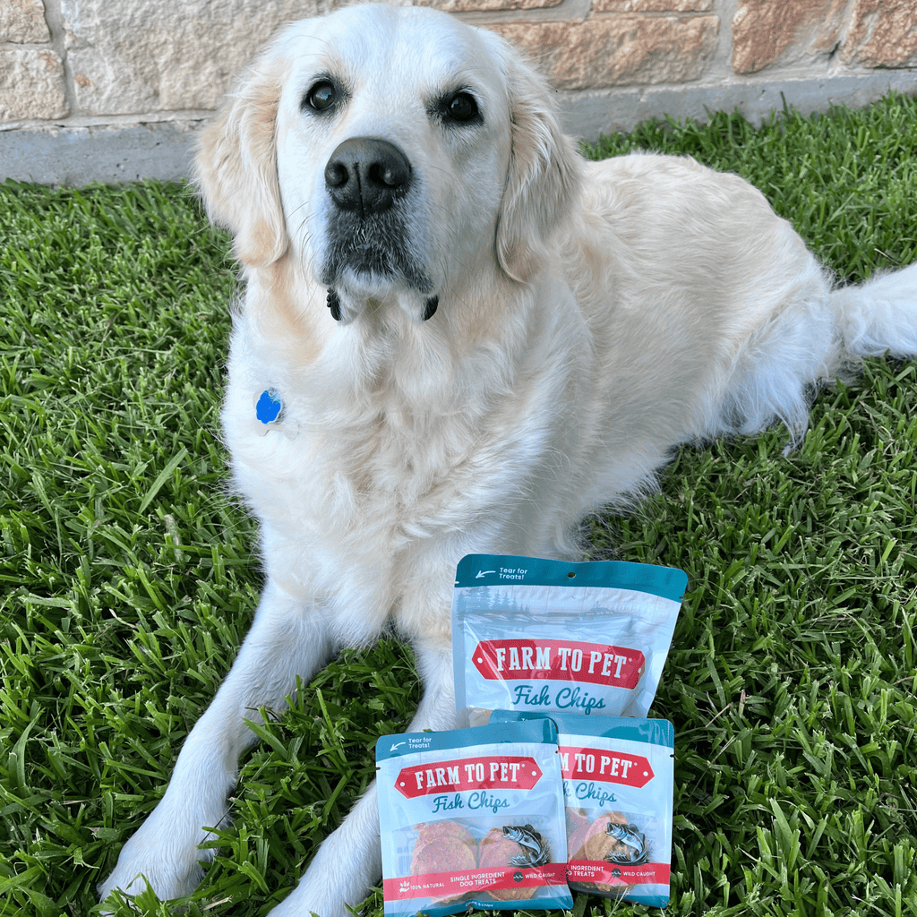Fish Chips Snack Pack