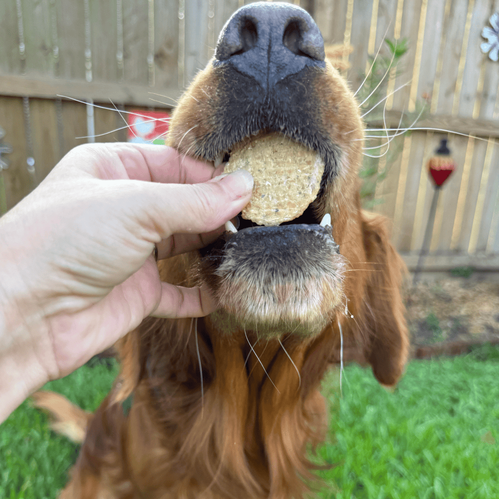 Fish Chips Snack Pack