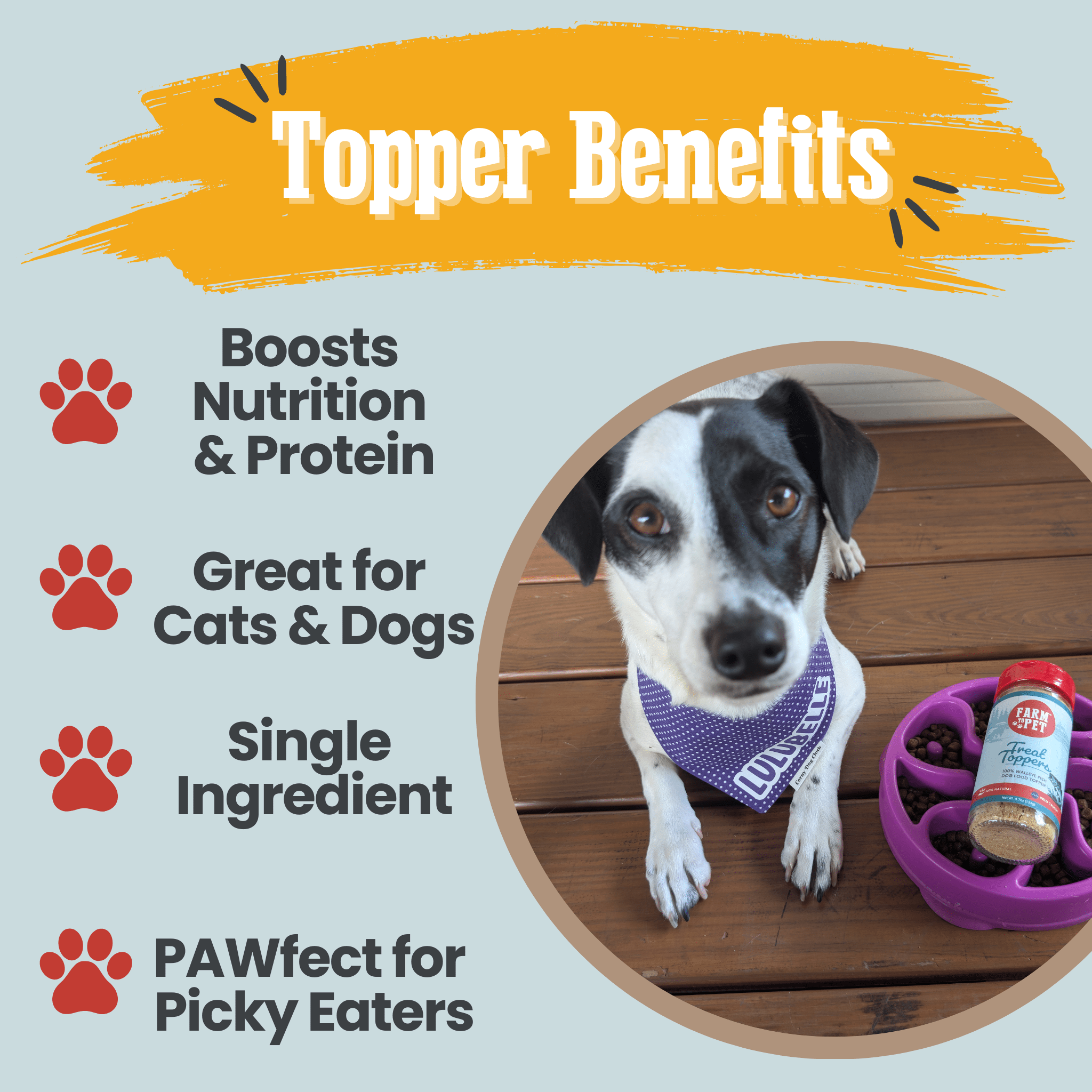 Fish Food Topper