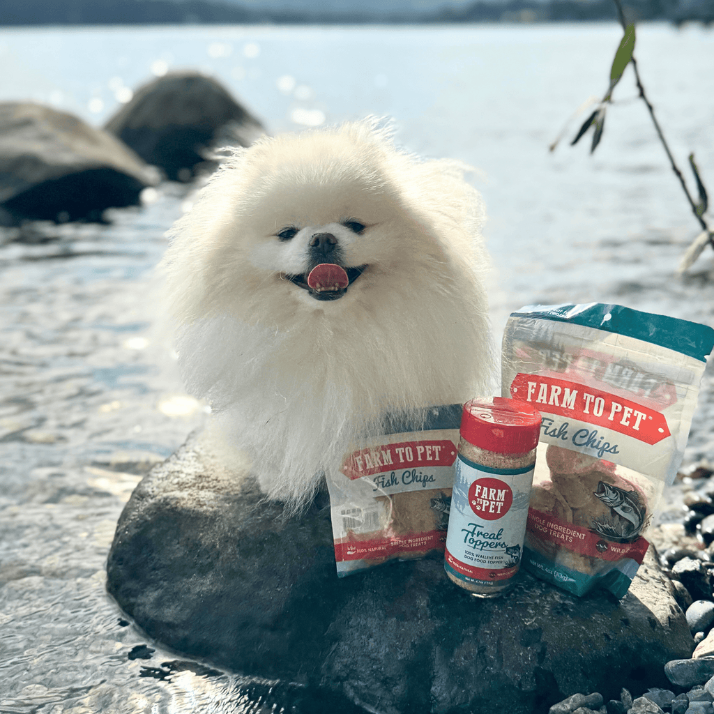 Fish Food Topper