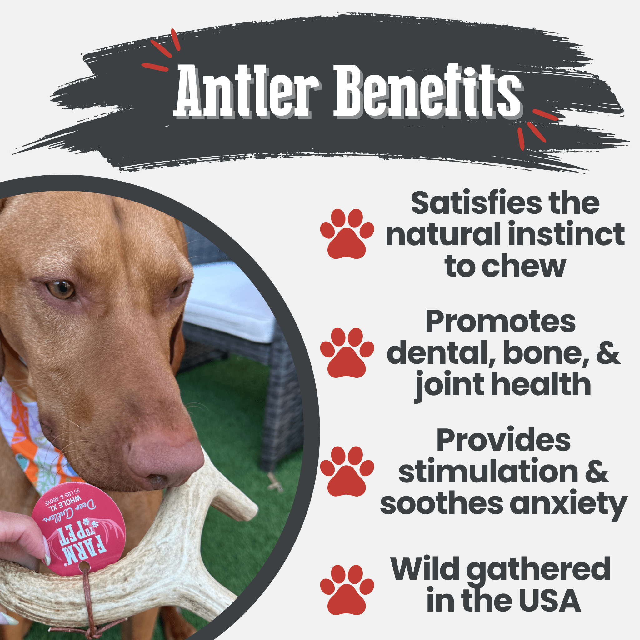 Deer Antler Dog Chews