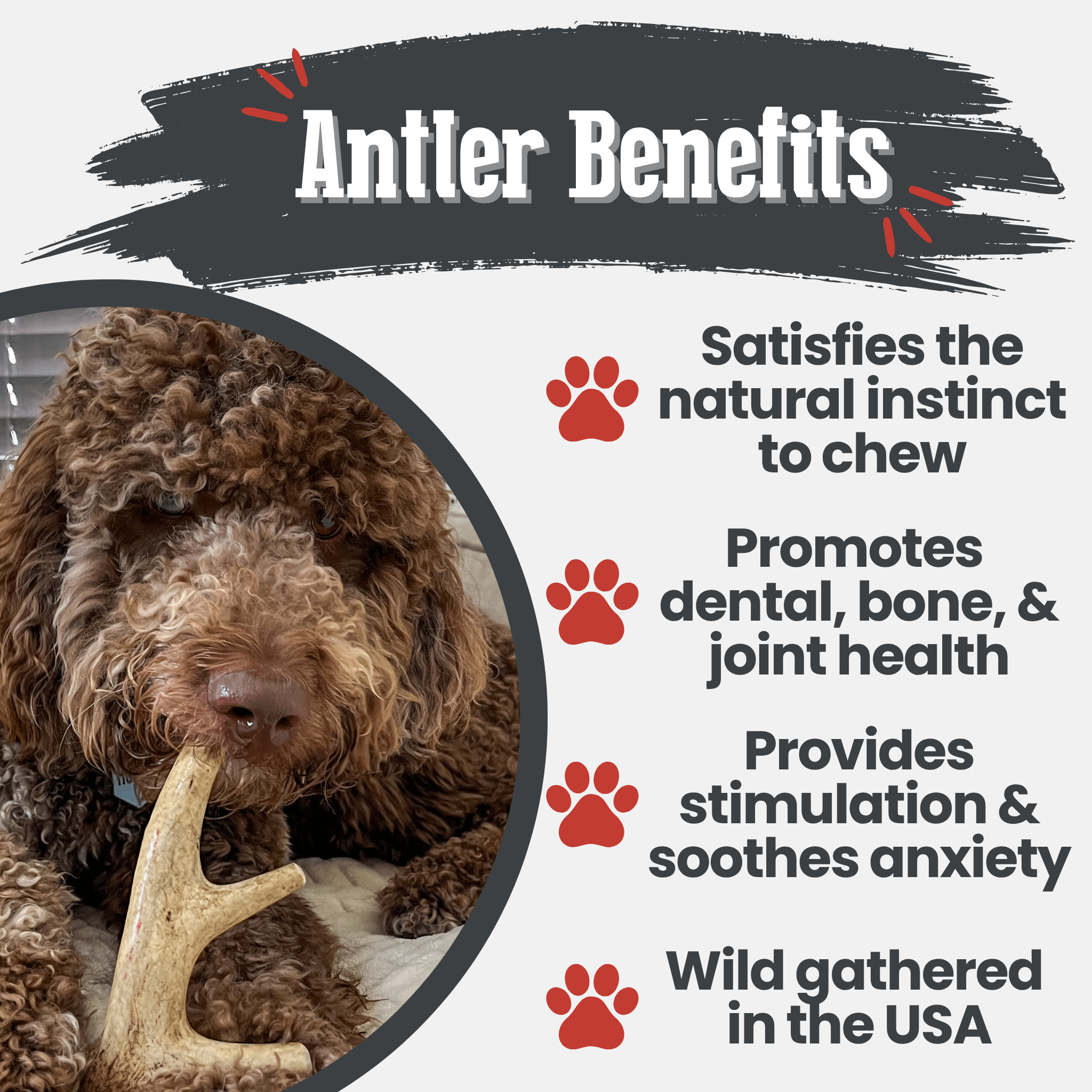 Deer Antler Dog Chews