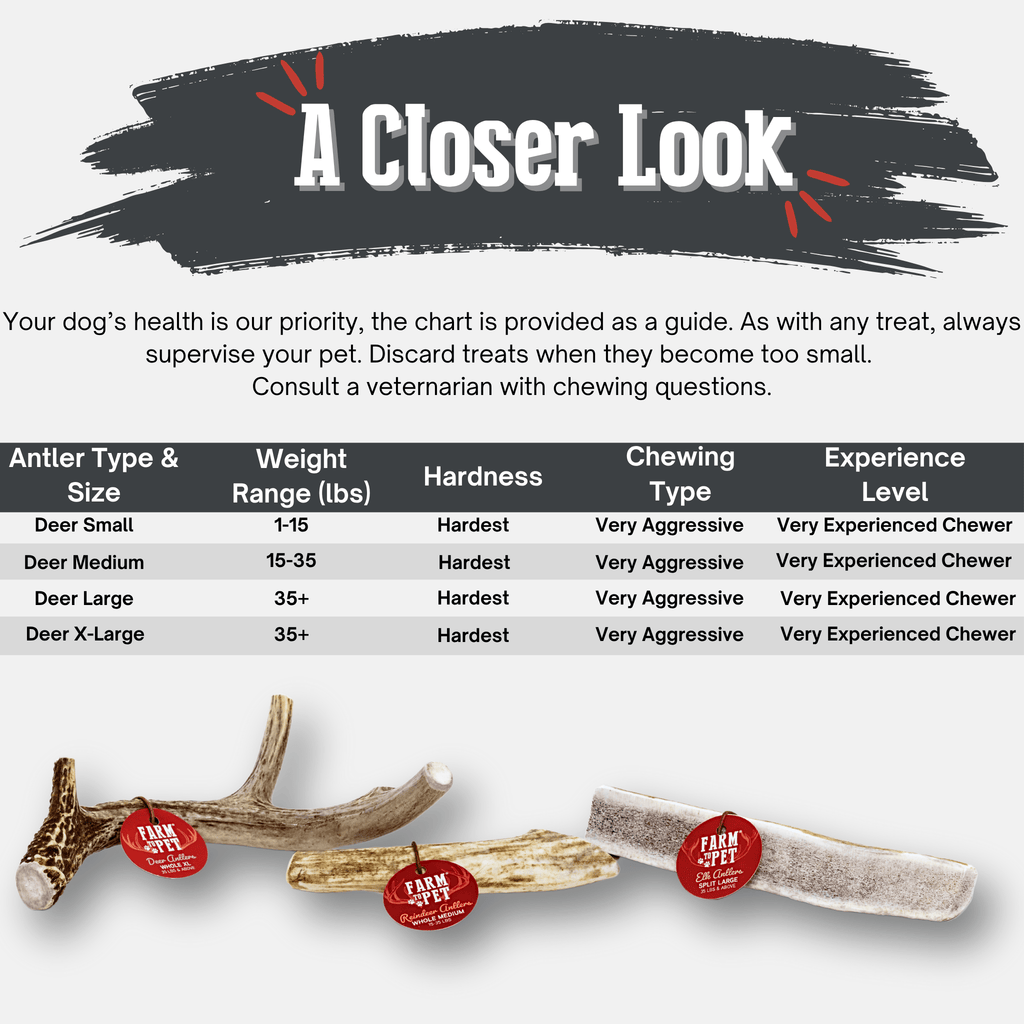 Deer Antler Dog Chews