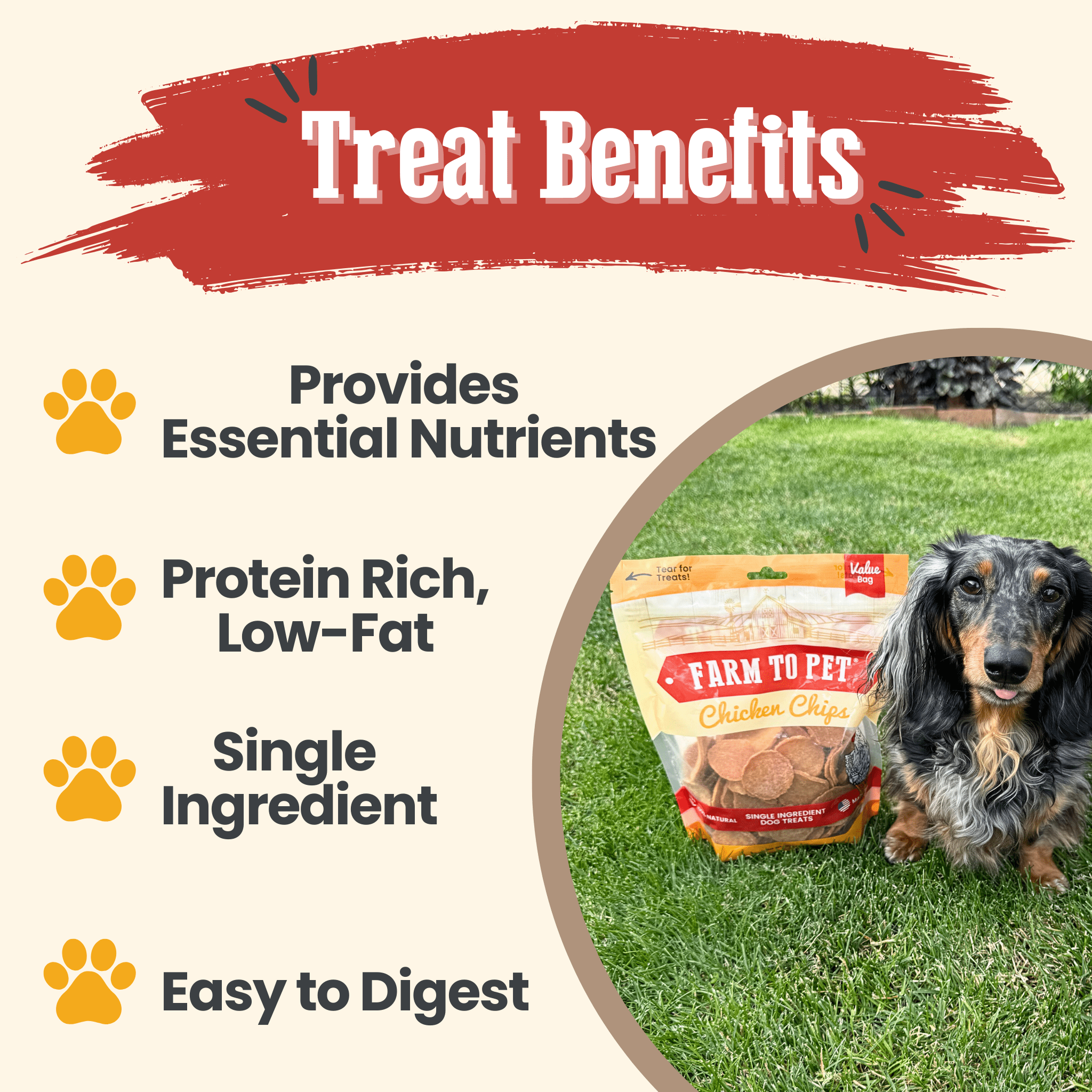 Chicken Chips Dog Treats
