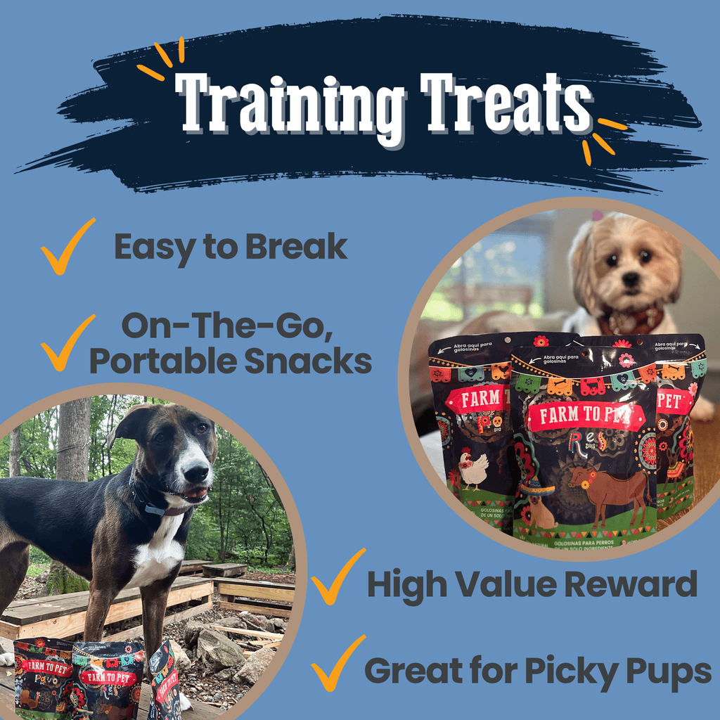 Fiesta Pack Dog Treat Variety Bundle
