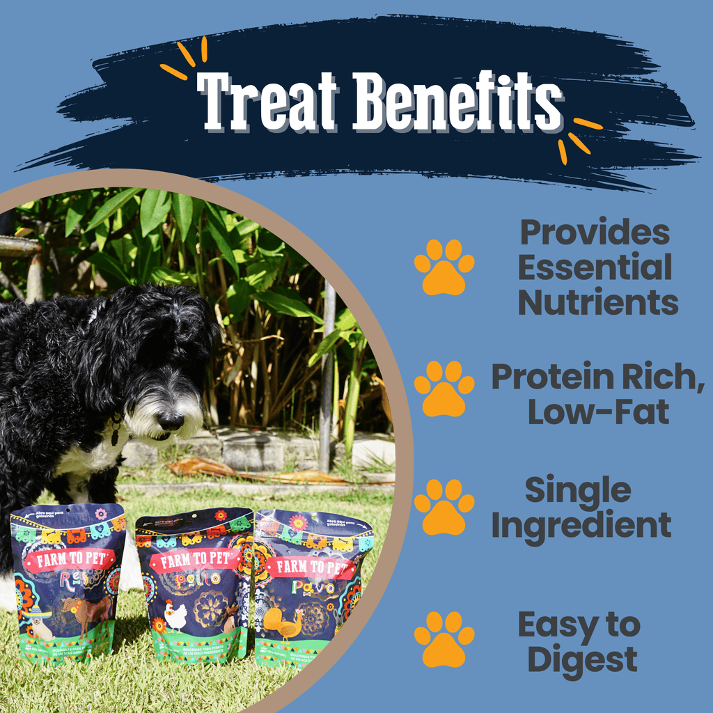 Fiesta Pack Dog Treat Variety Bundle