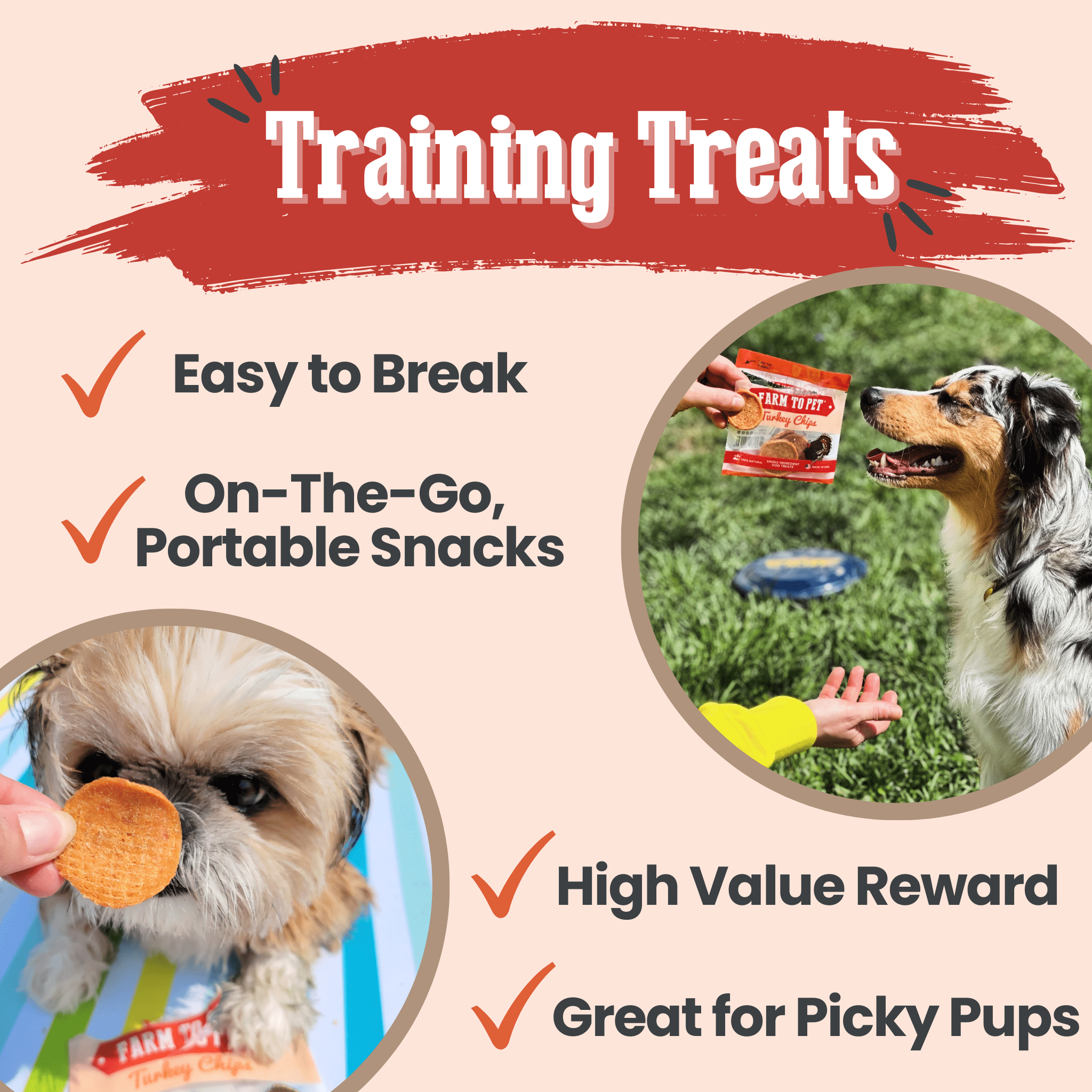 Turkey Chips Snack Pack
